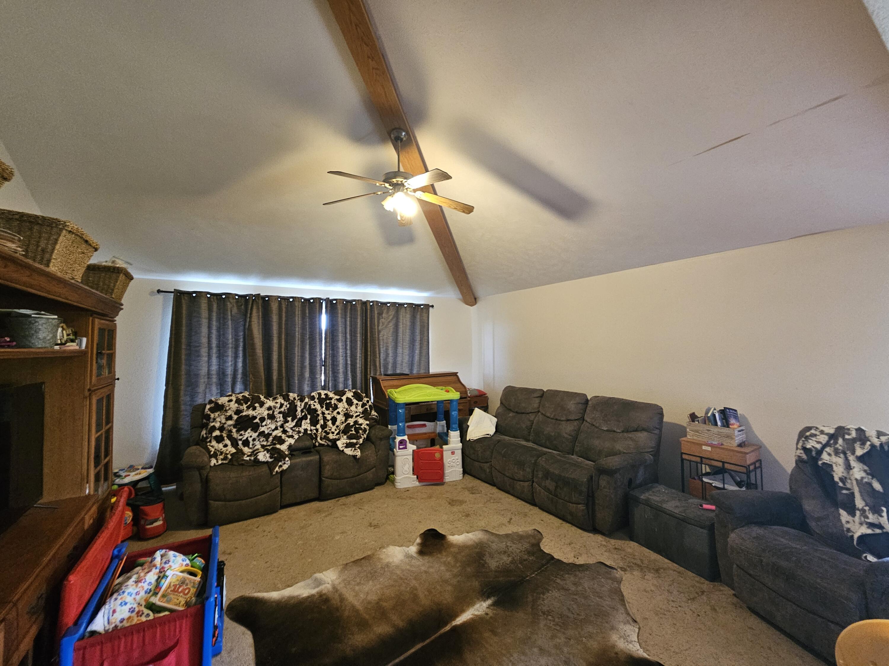 2088 State Highway Jj Property Photo 18