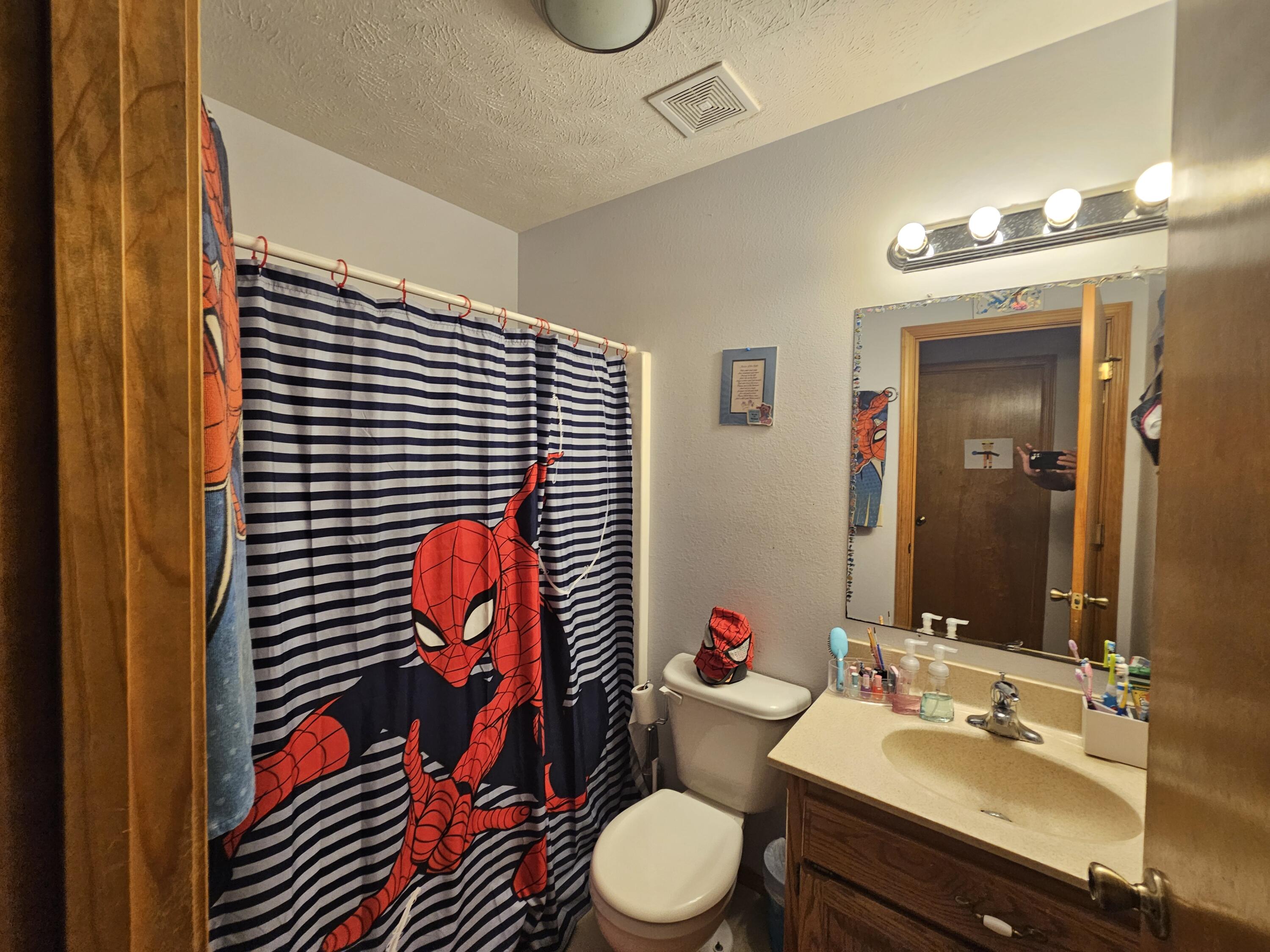 2088 State Highway Jj Property Photo 24