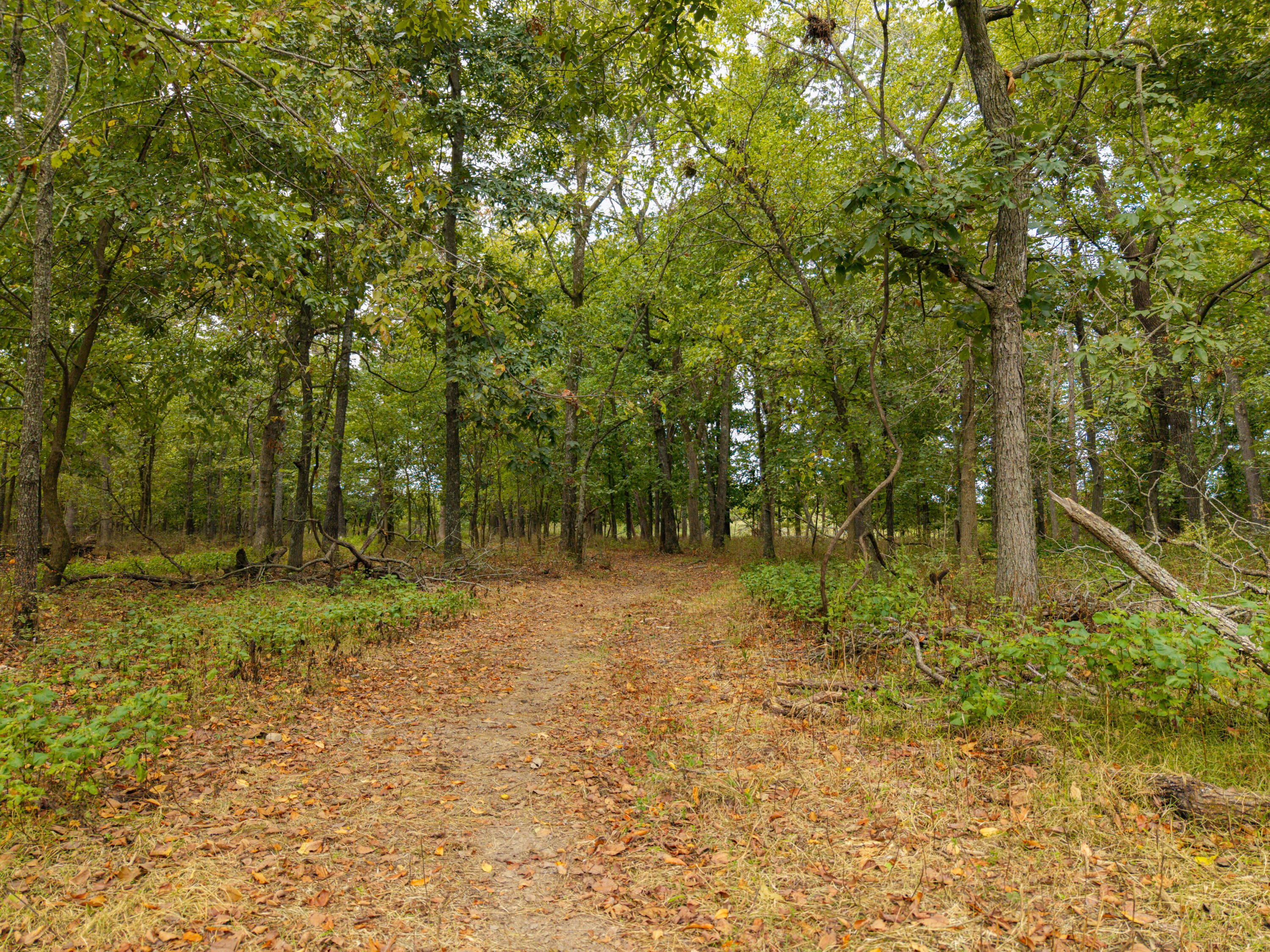 2088 State Highway Jj Property Photo 27