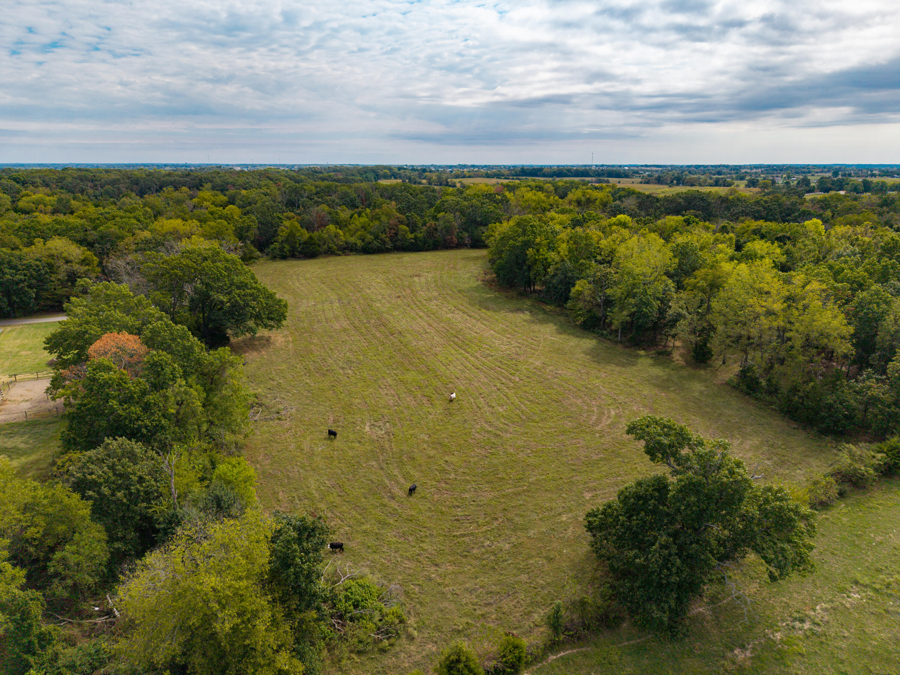 2088 State Highway Jj Property Photo 41