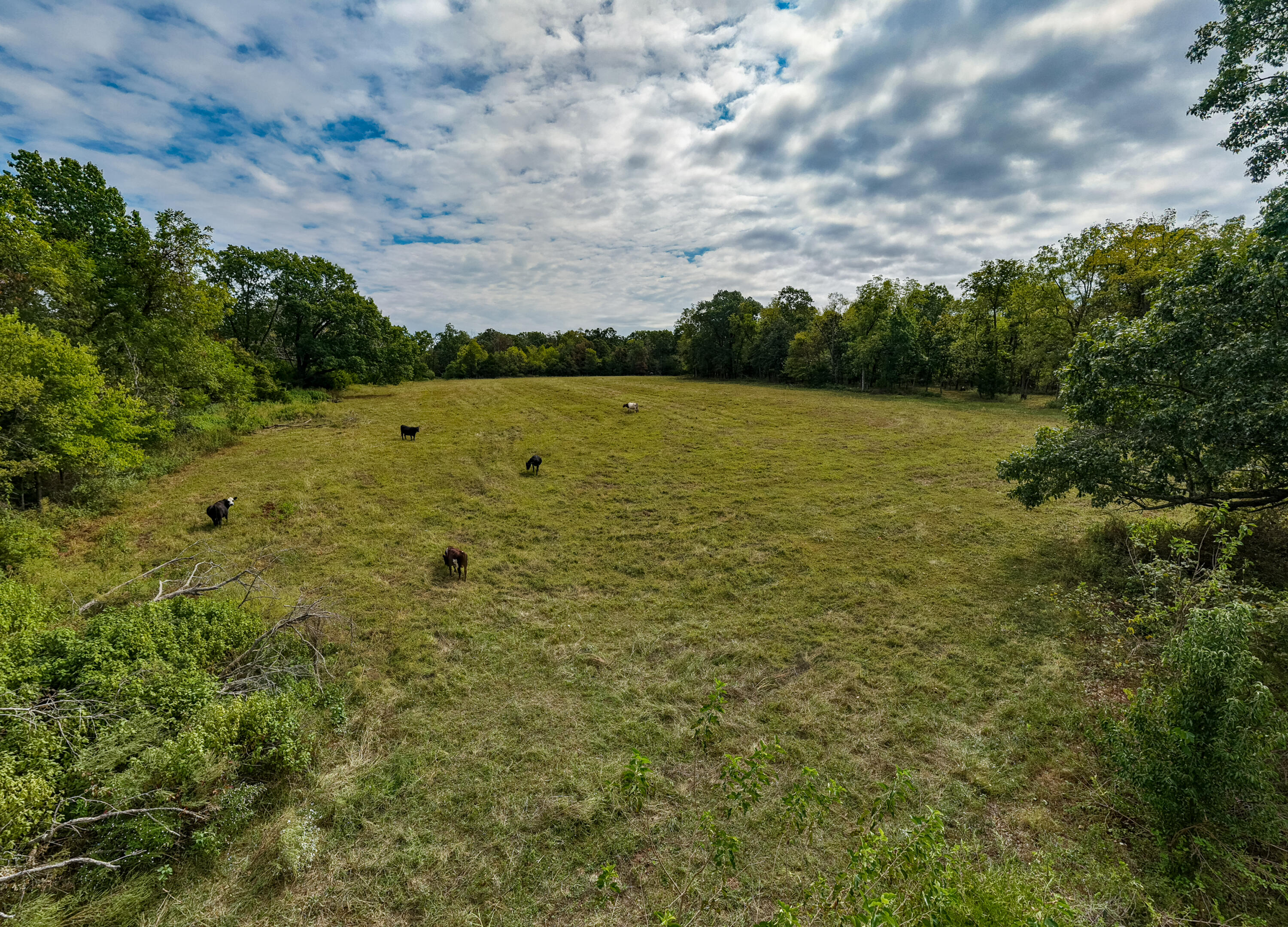 2088 State Highway Jj Property Photo 42
