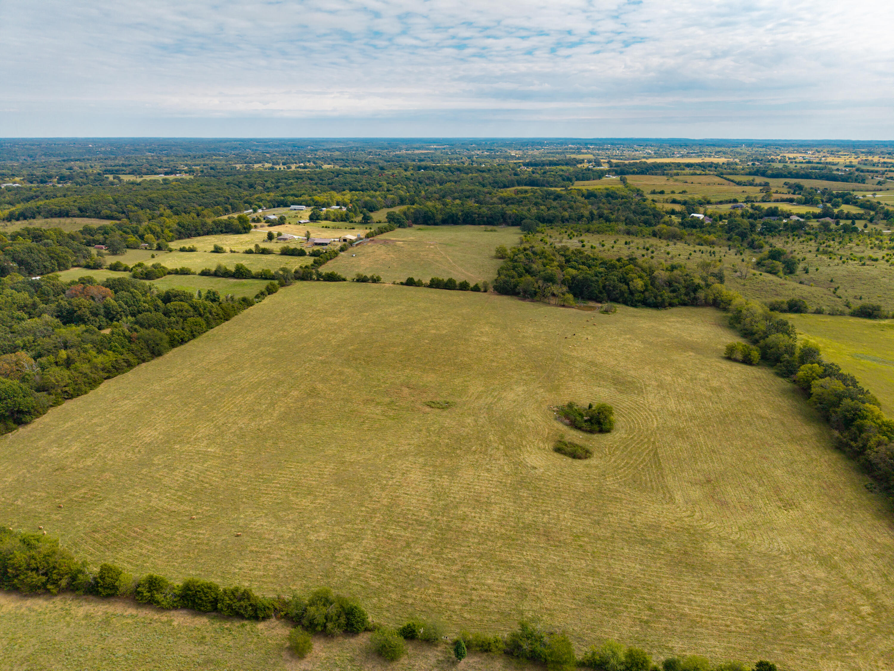 2088 State Highway Jj Property Photo 44