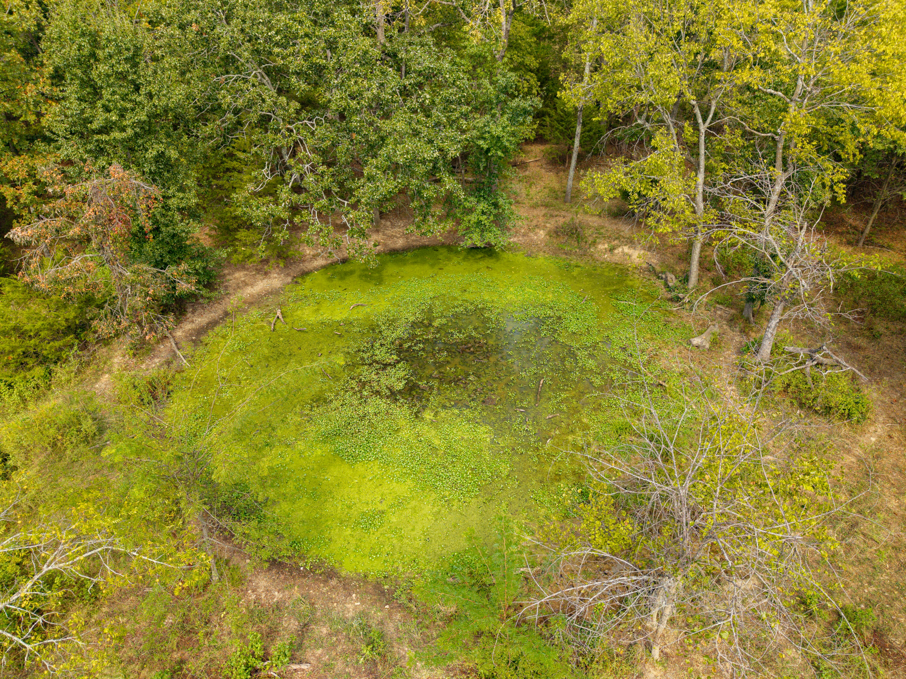2088 State Highway Jj Property Photo 51