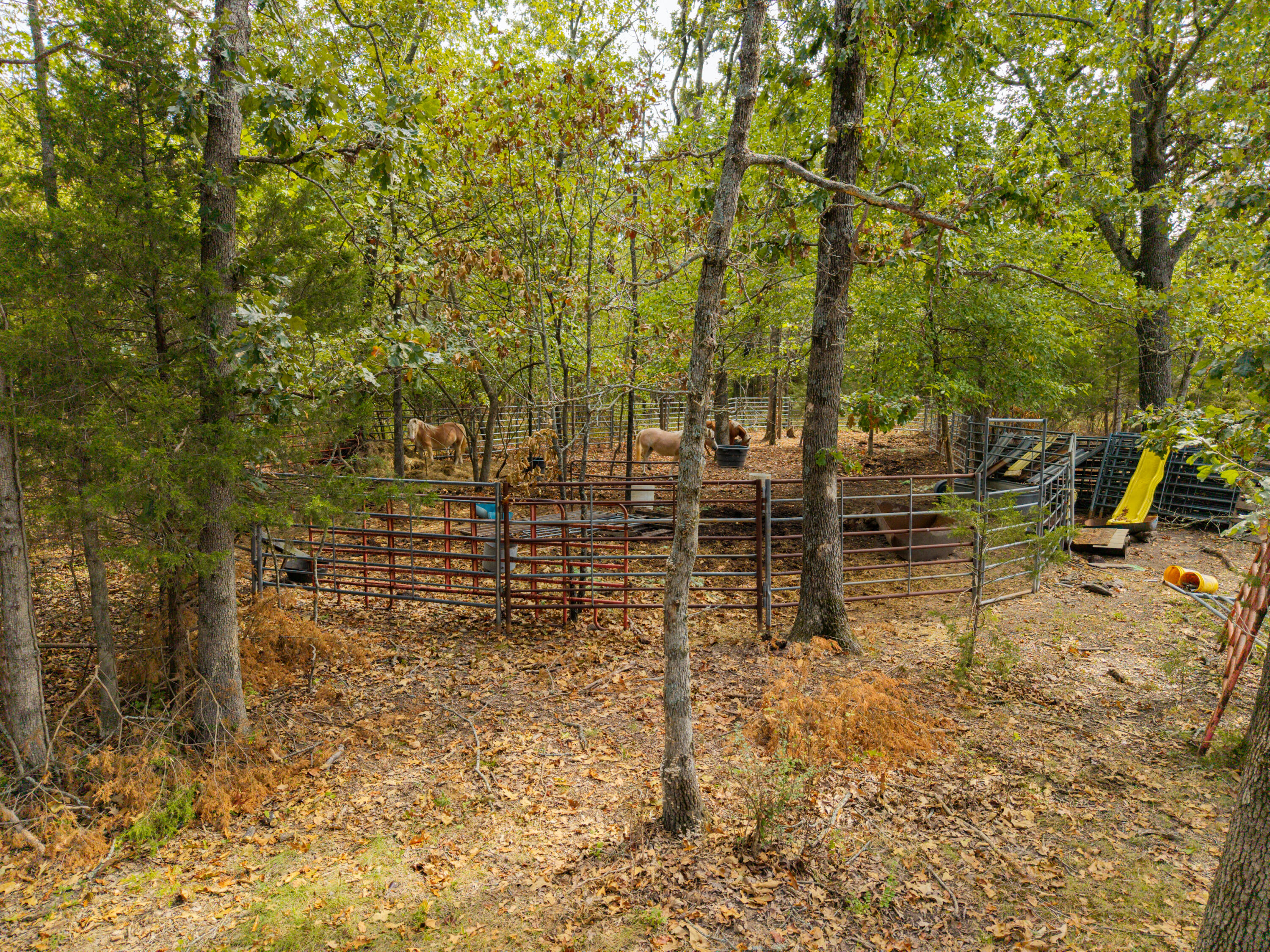 2088 State Highway Jj Property Photo 54