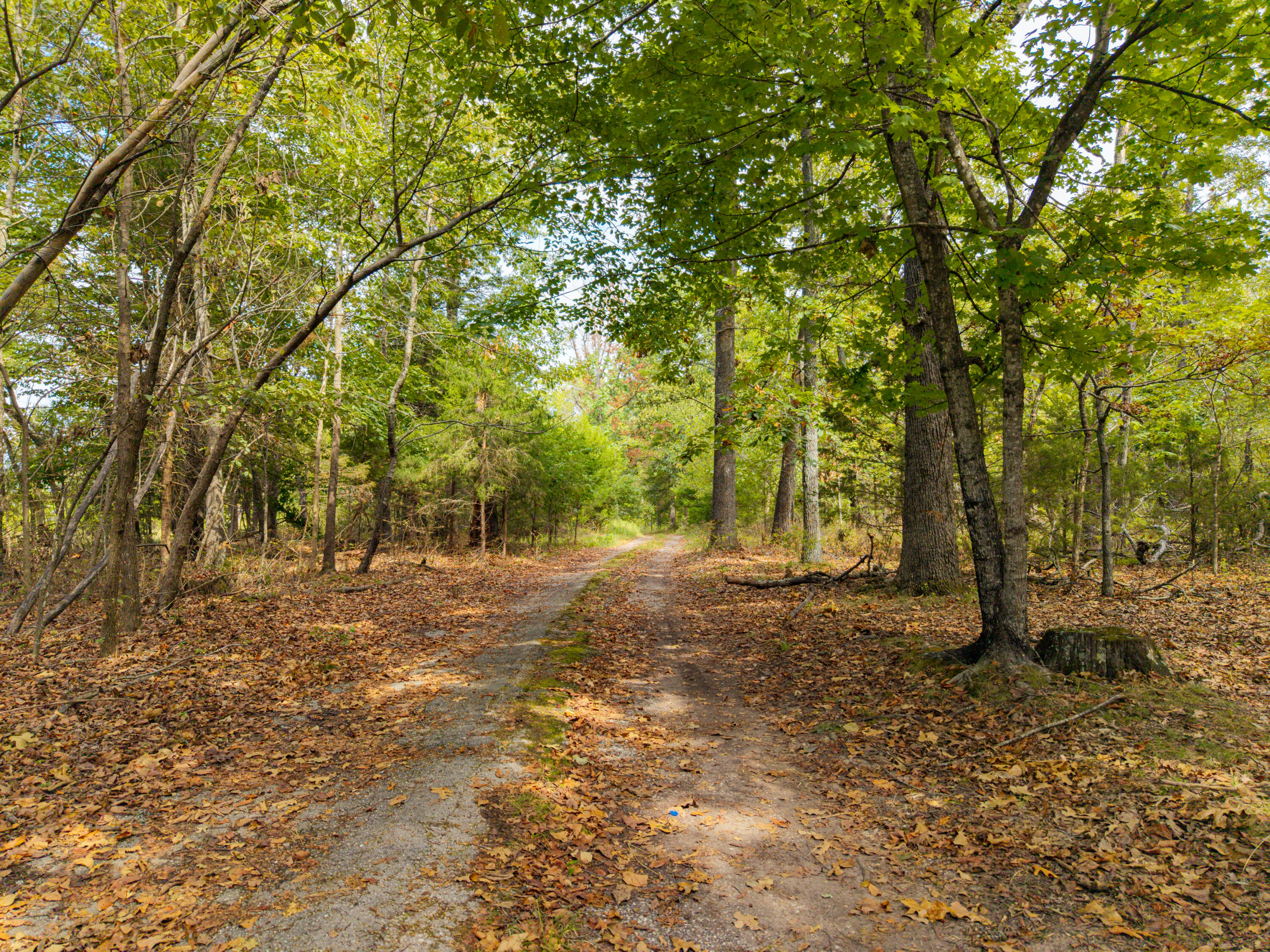 2088 State Highway Jj Property Photo 55