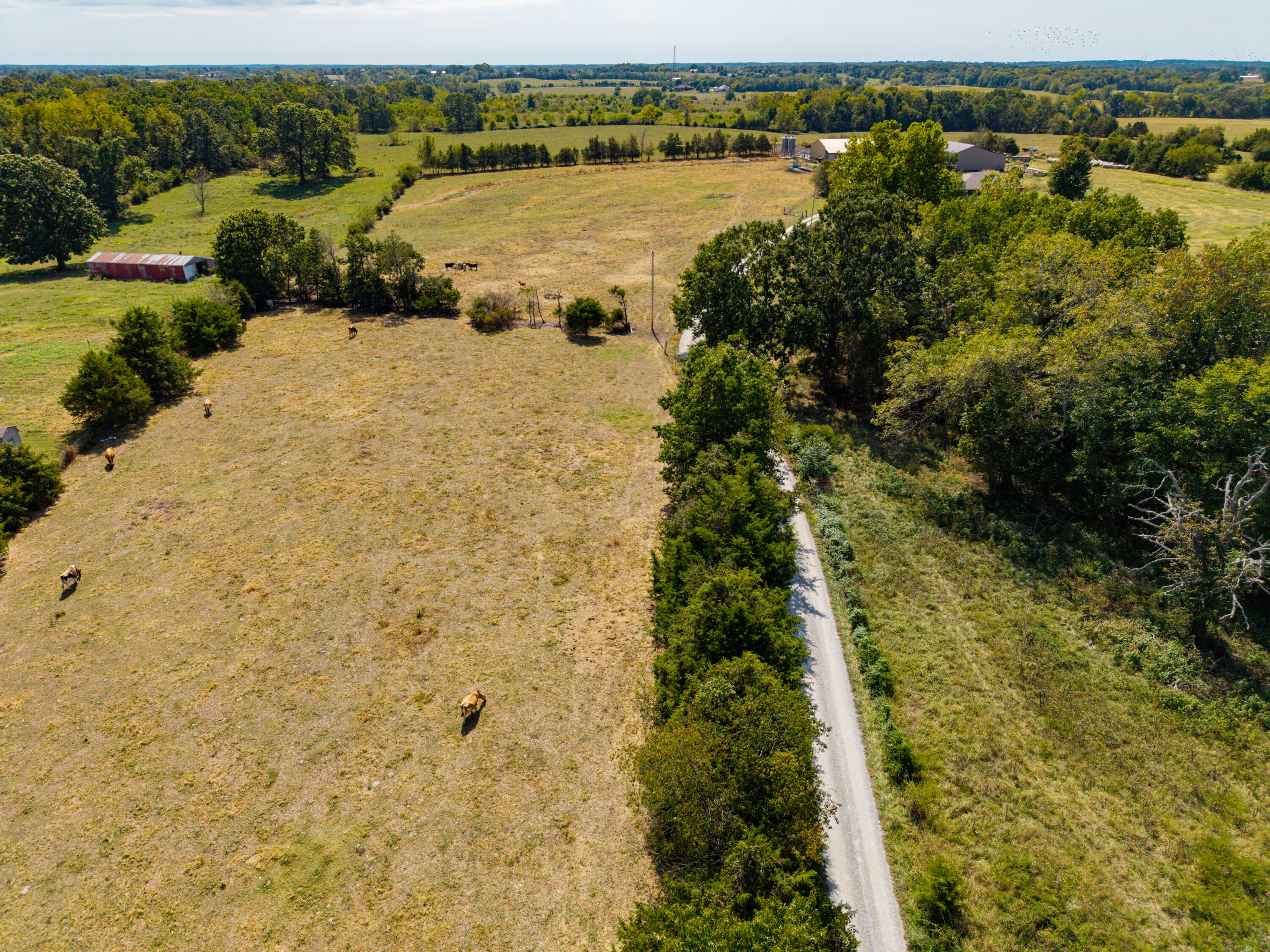 2088 State Highway Jj Property Photo 70