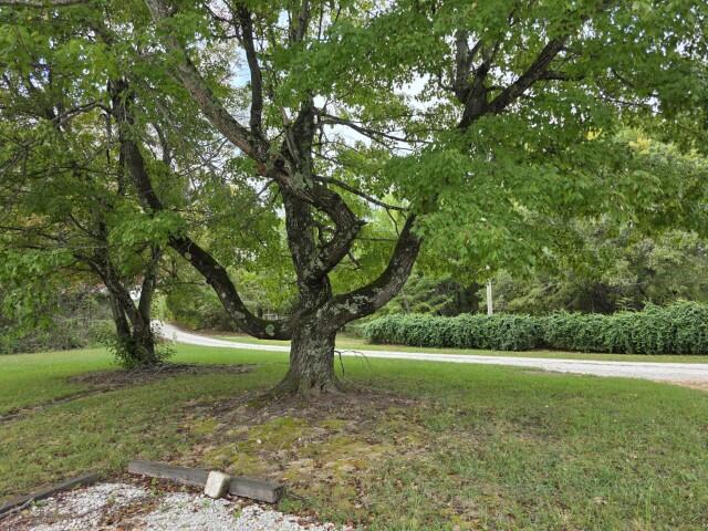 1549 Cox Lane South Property Photo 39