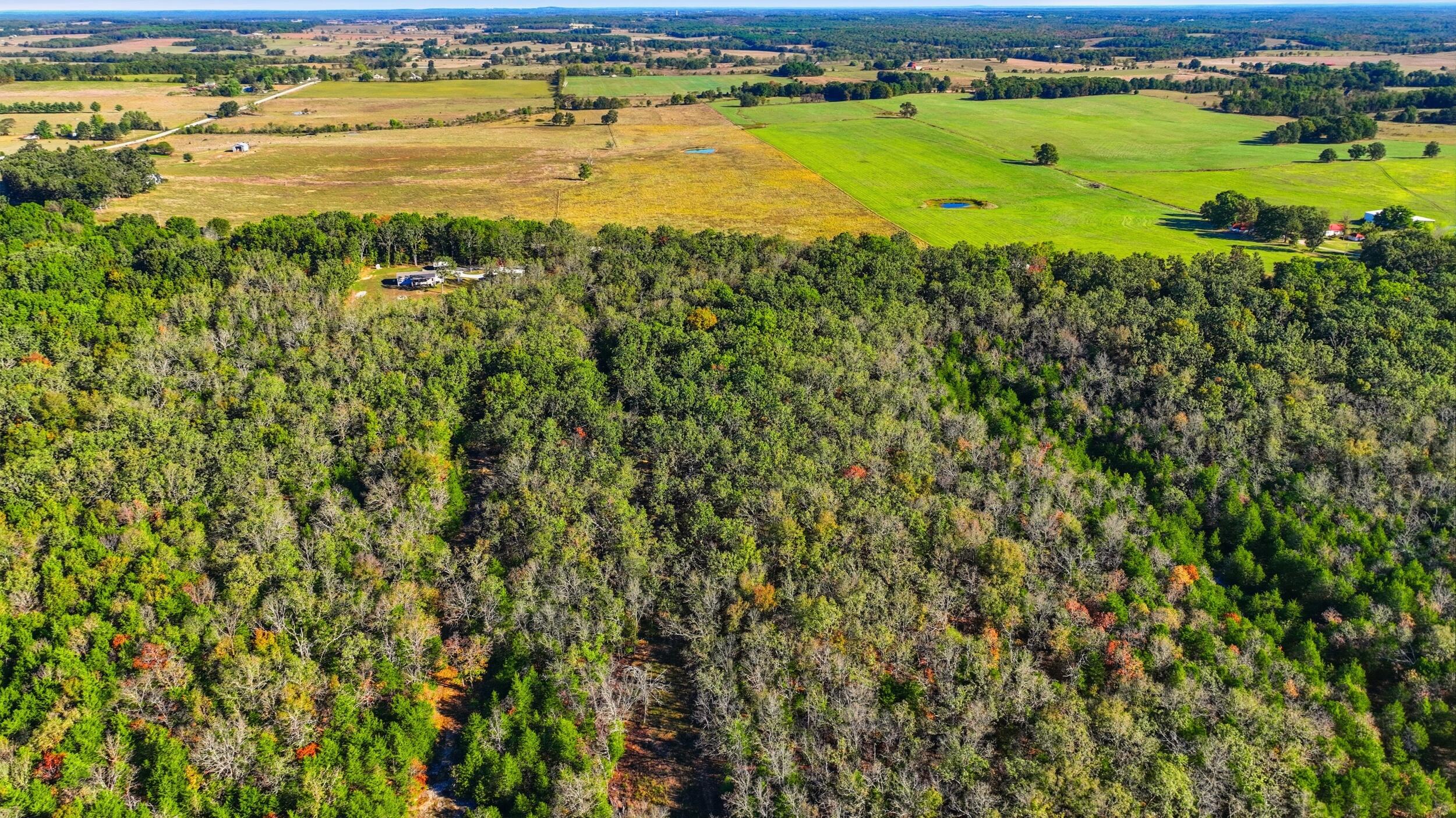 5963 Highway 17 Property Photo 47