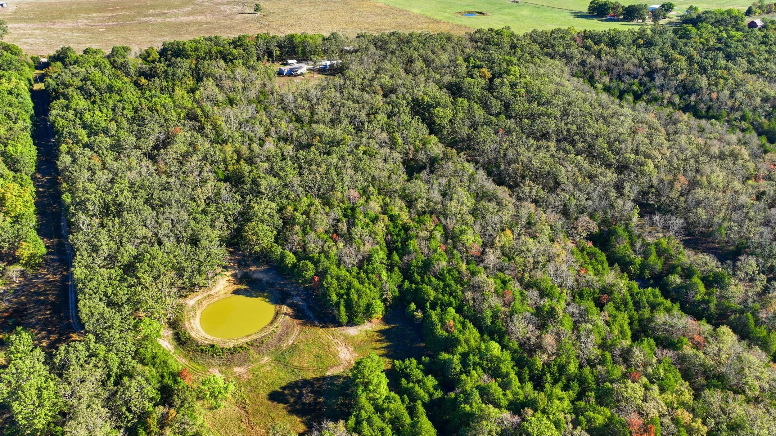 5963 Highway 17 Property Photo 49