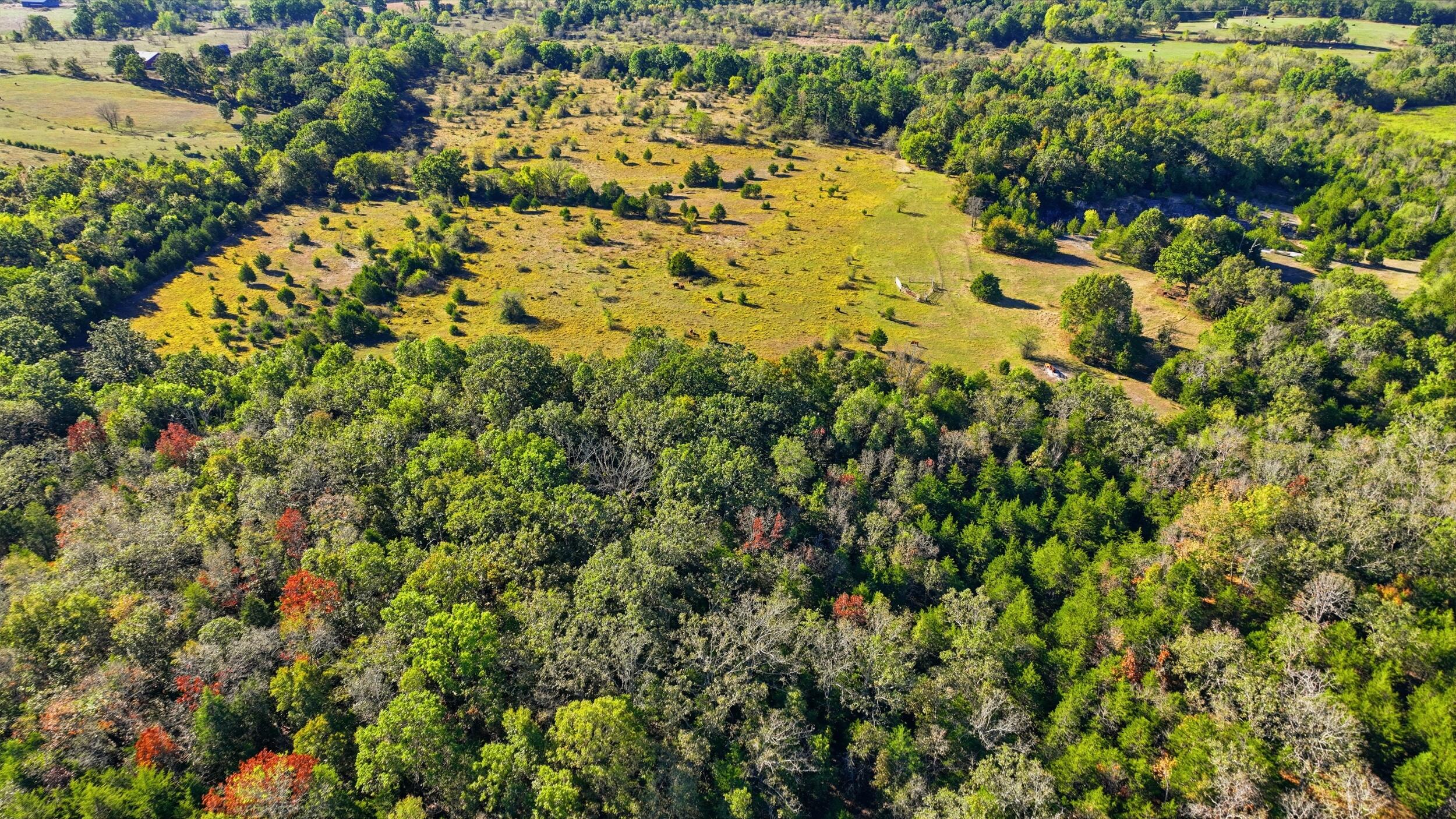 5963 Highway 17 Property Photo 51