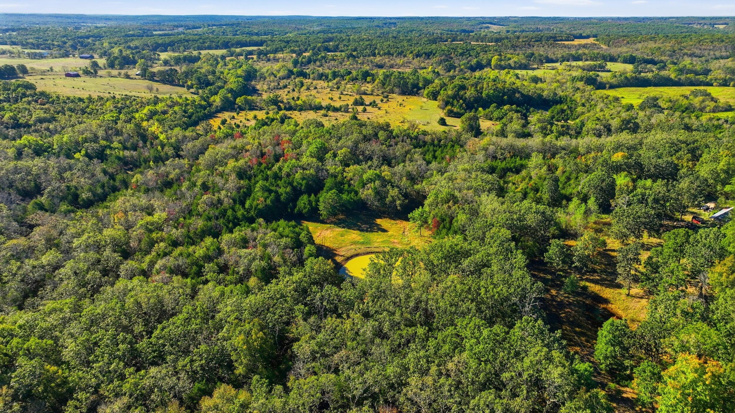 5963 Highway 17 Property Photo 53