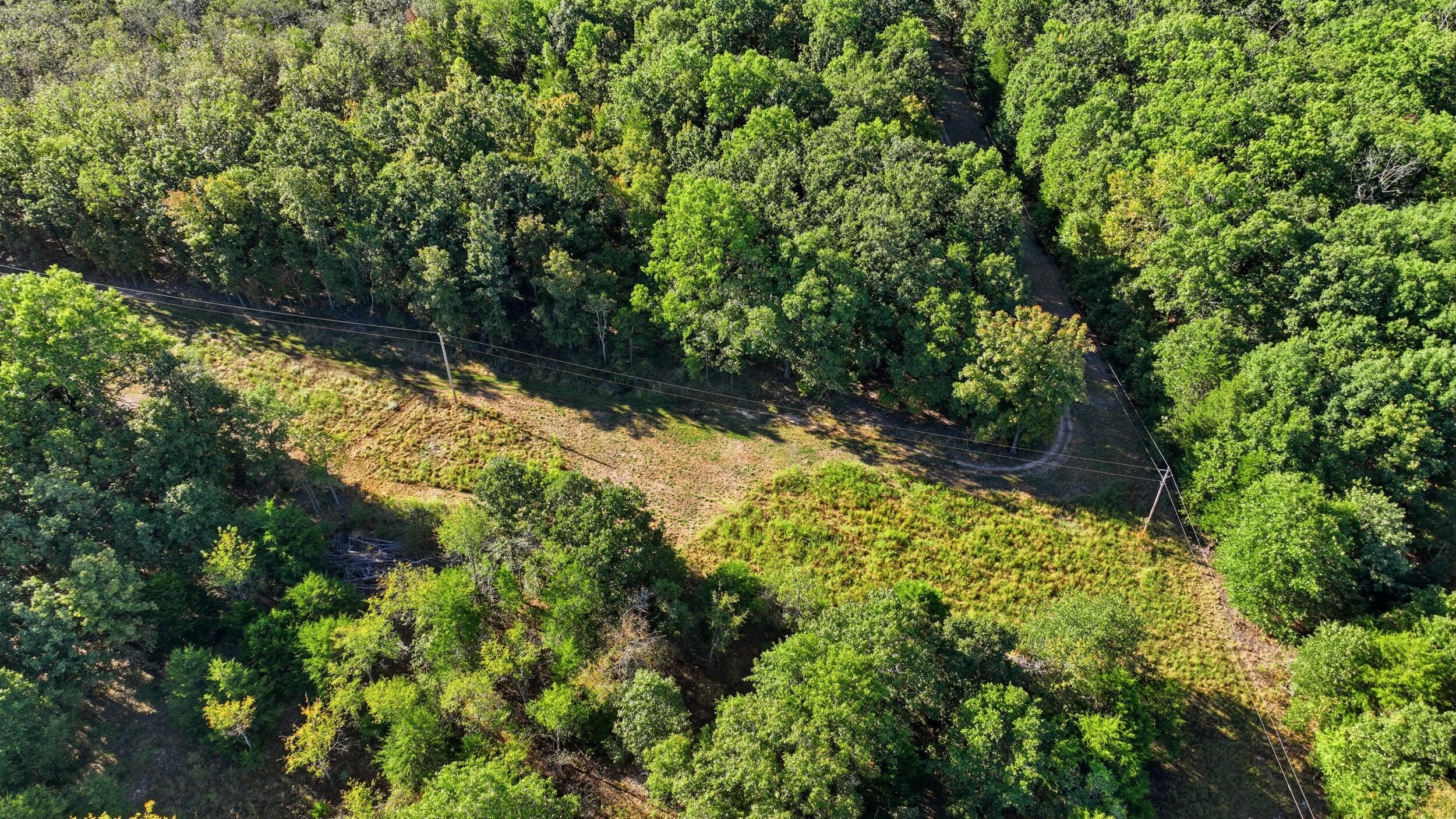 5963 Highway 17 Property Photo 54