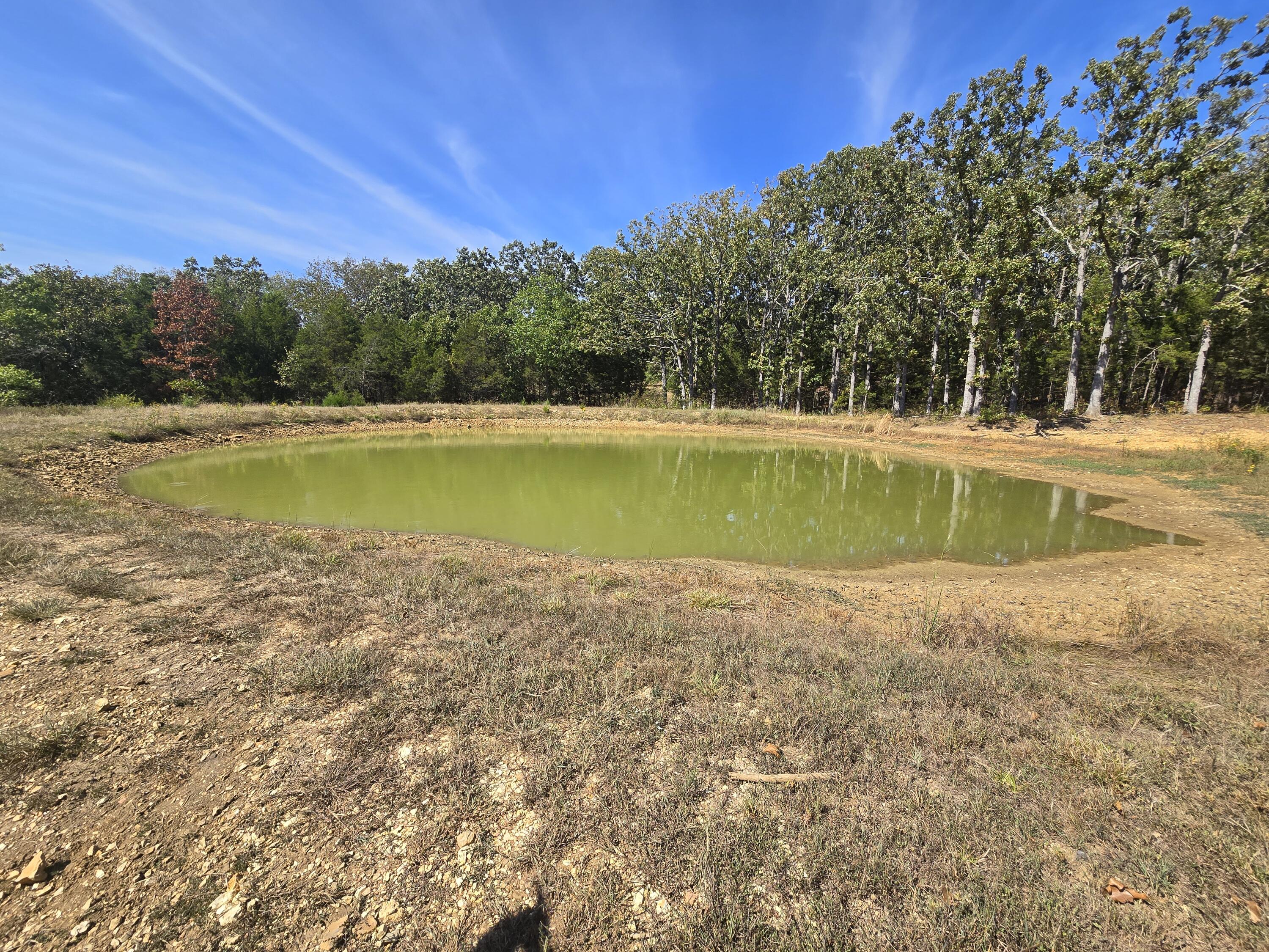 5963 Highway 17 Property Photo 71