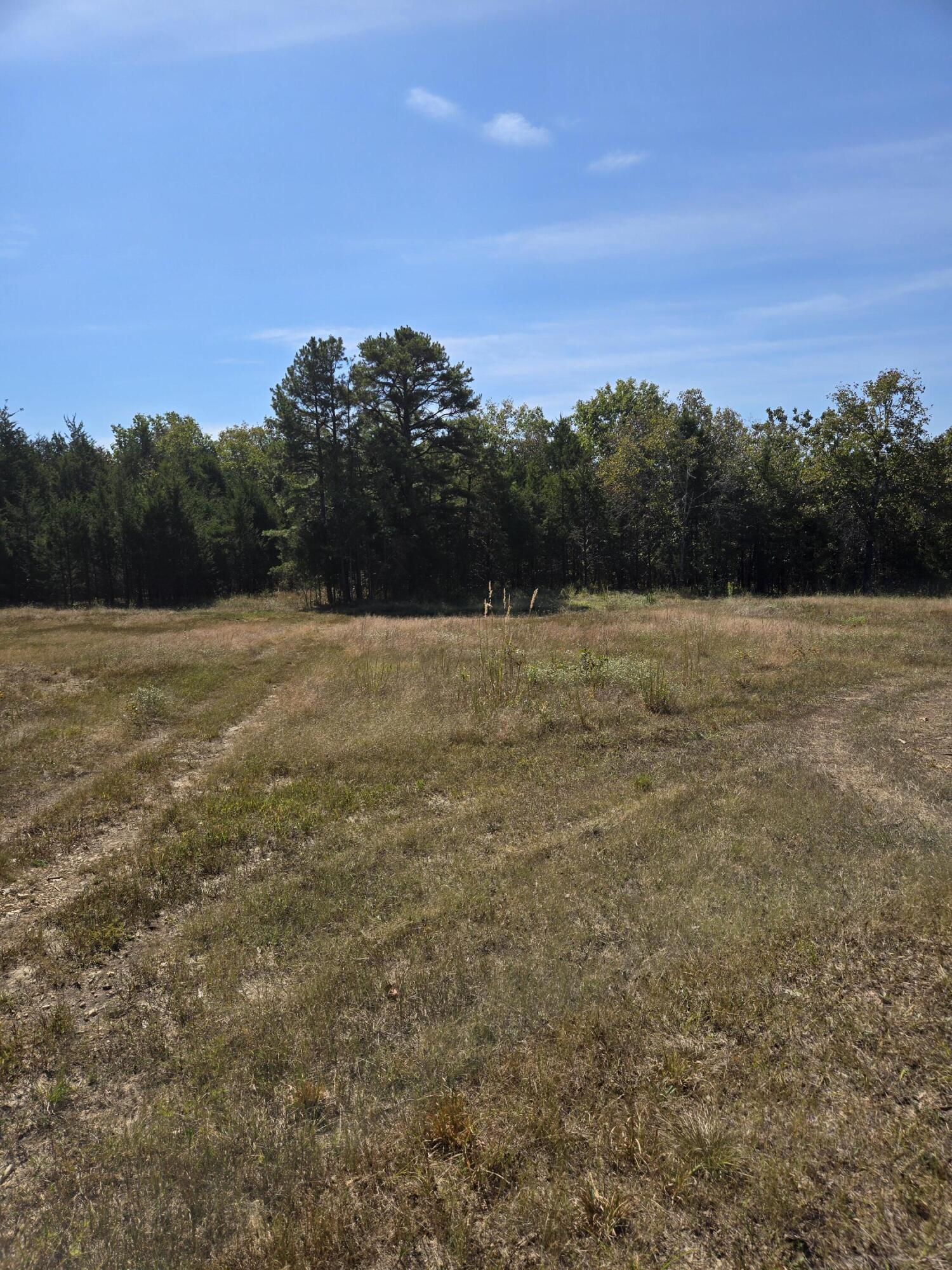 5963 Highway 17 Property Photo 72