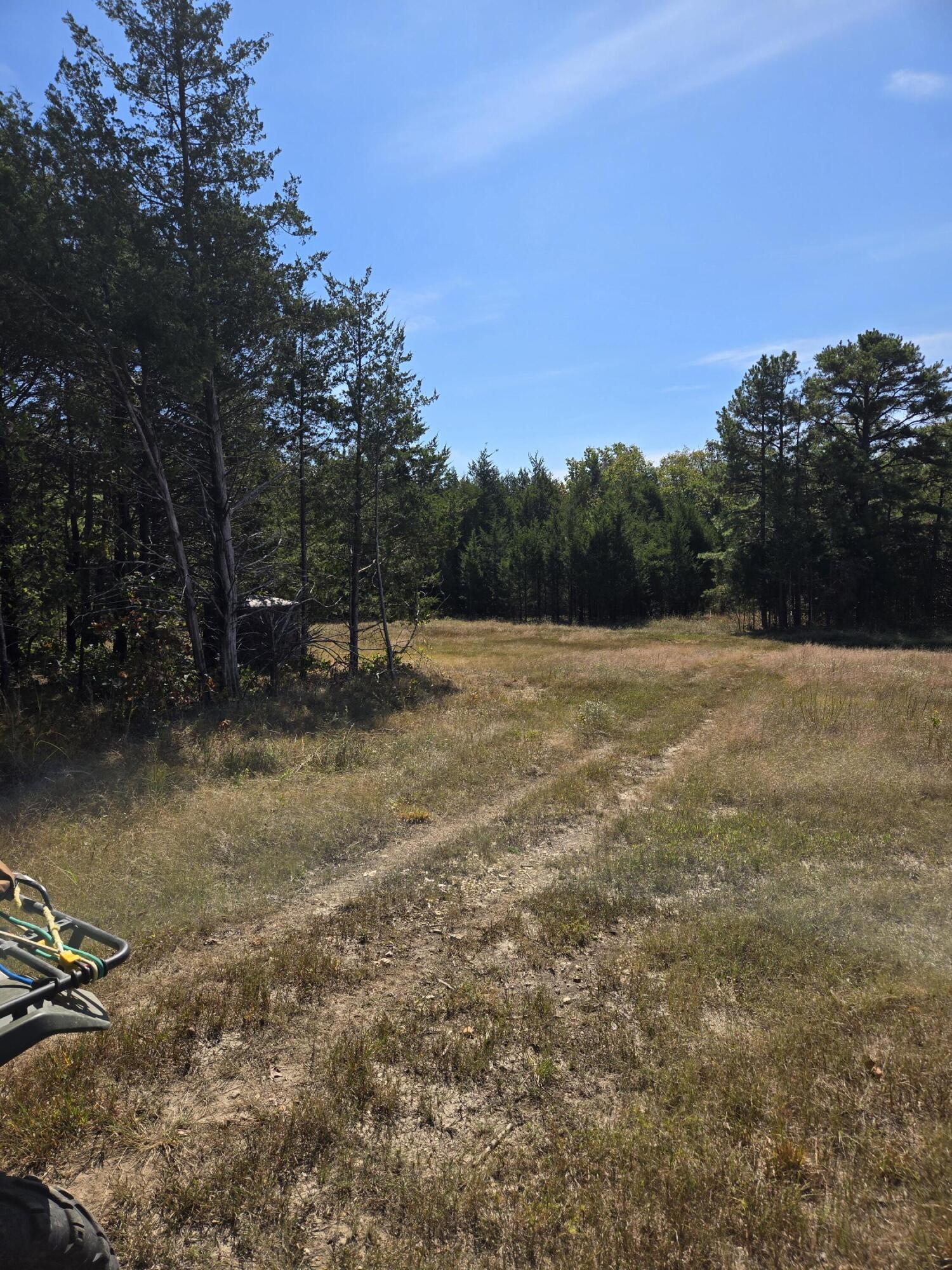5963 Highway 17 Property Photo 73