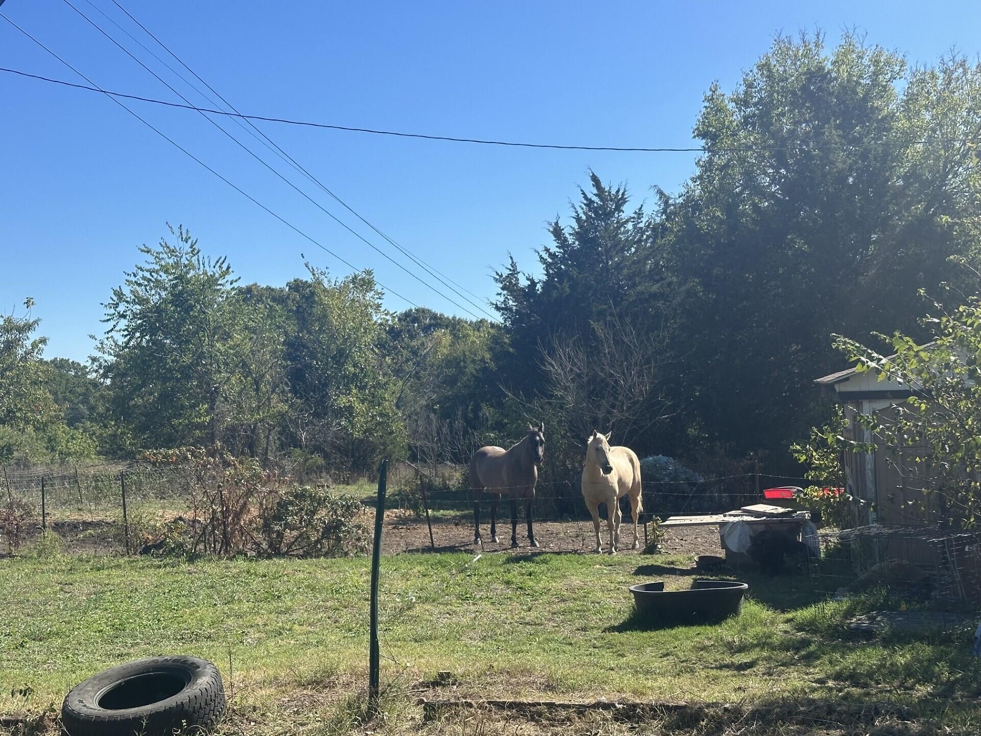 7664 Highway E Property Photo 8