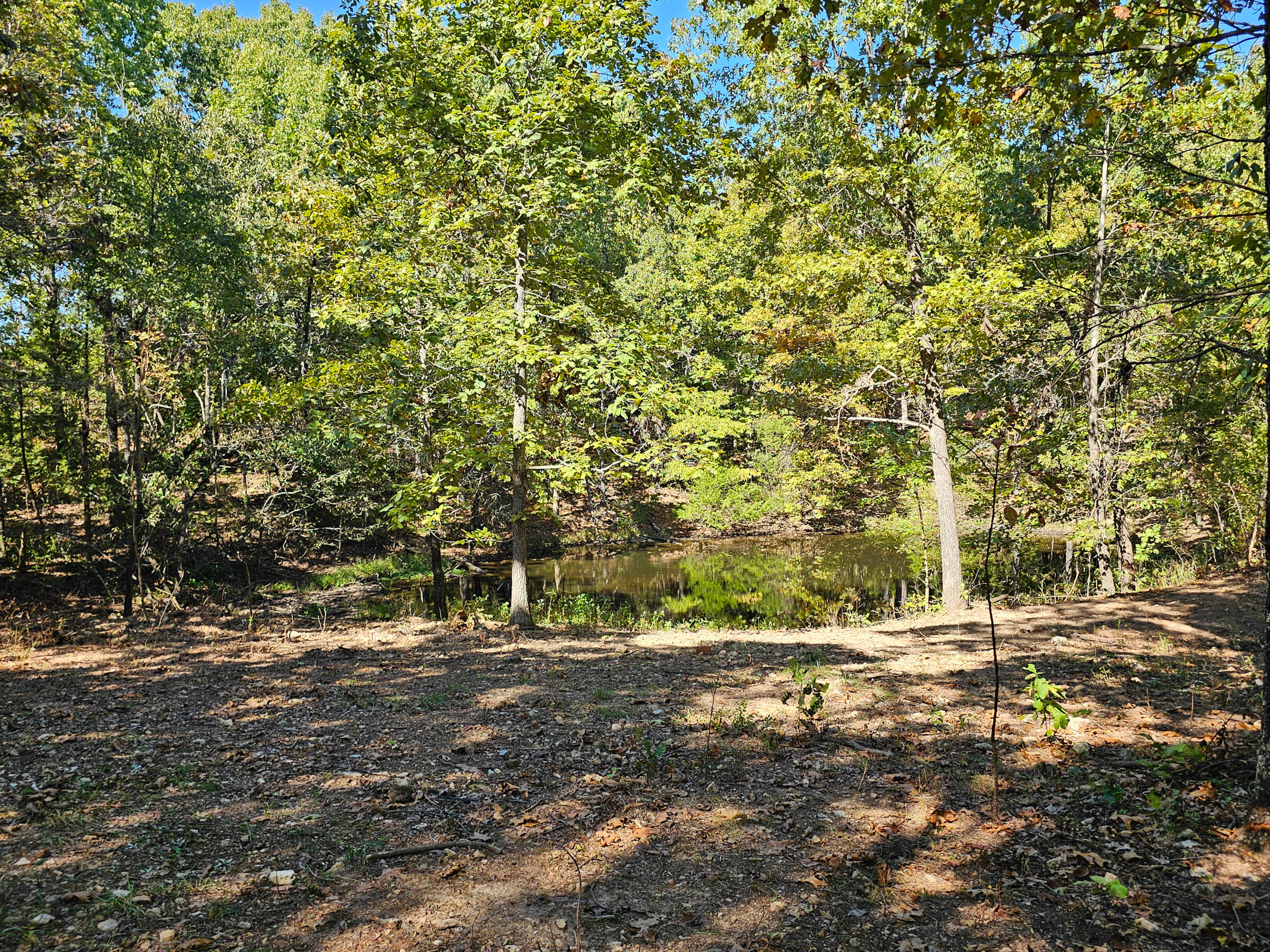 3375 Missouri 142 Property Photo 3