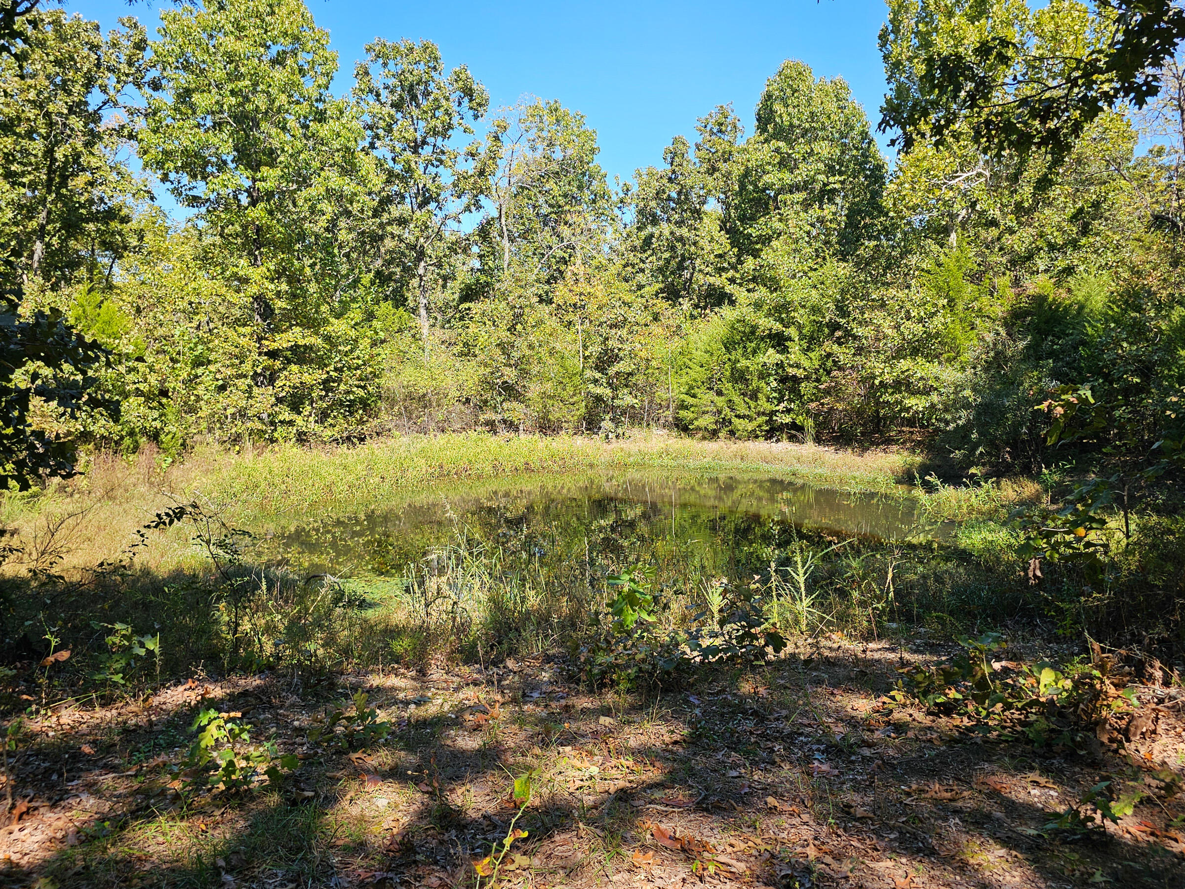 3375 Missouri 142 Property Photo 15