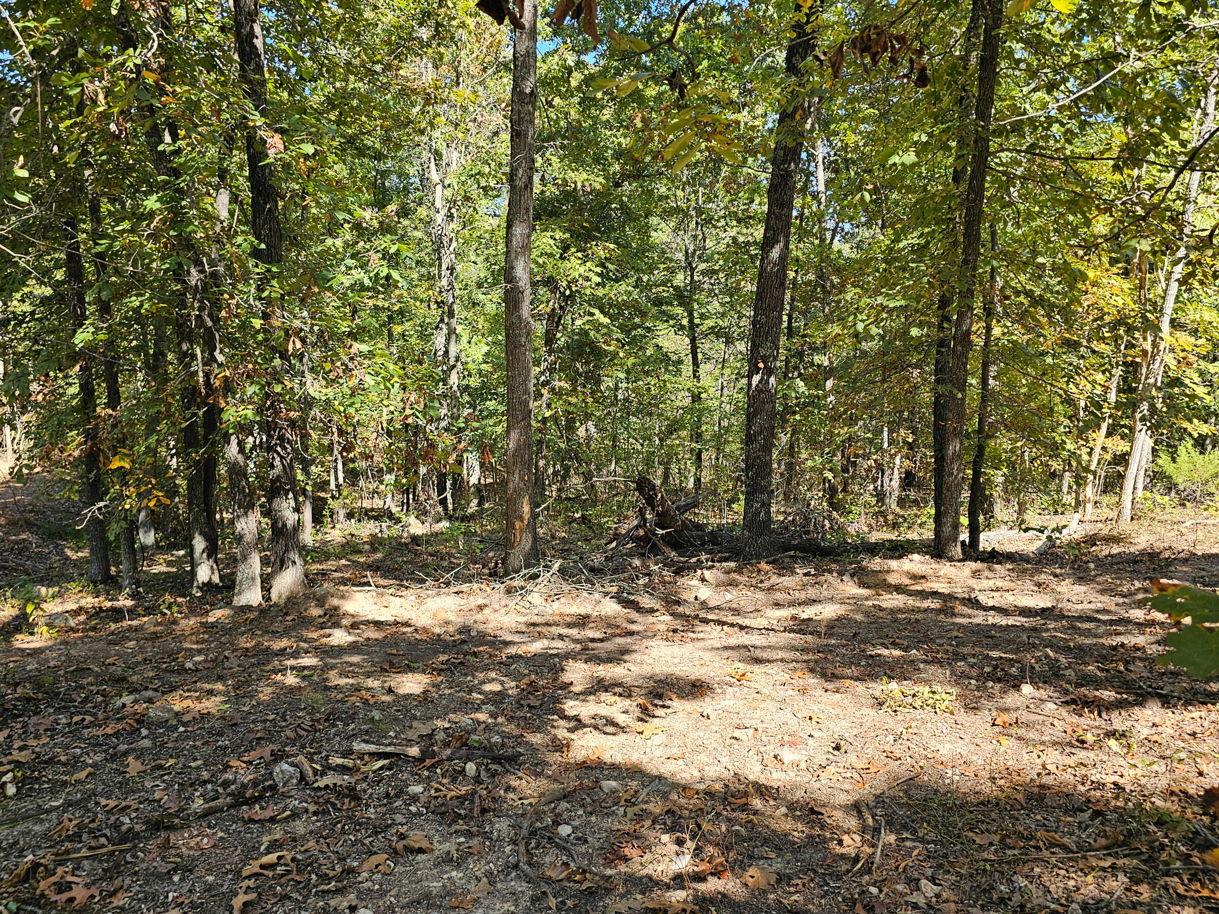 3375 Missouri 142 Property Photo 16