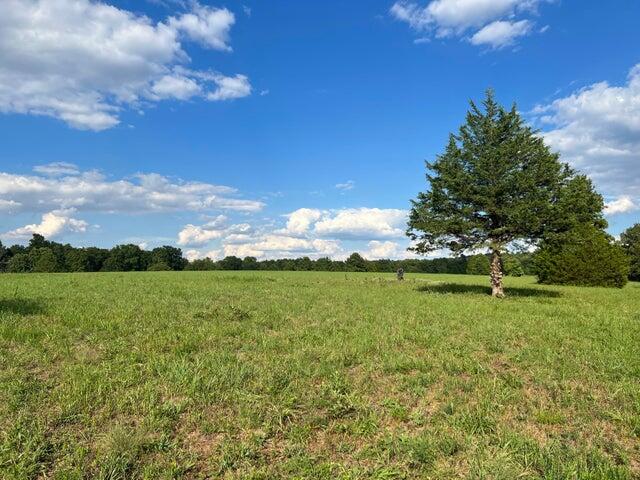 573 County Road Ab-230 Property Photo 19
