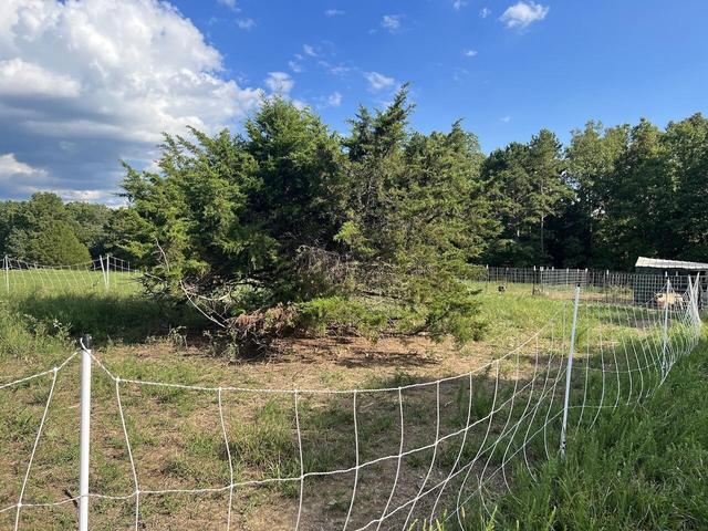 573 County Road Ab-230 Property Photo 22