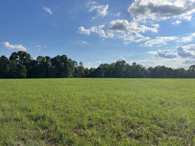 573 County Road Ab-230 Property Photo 28