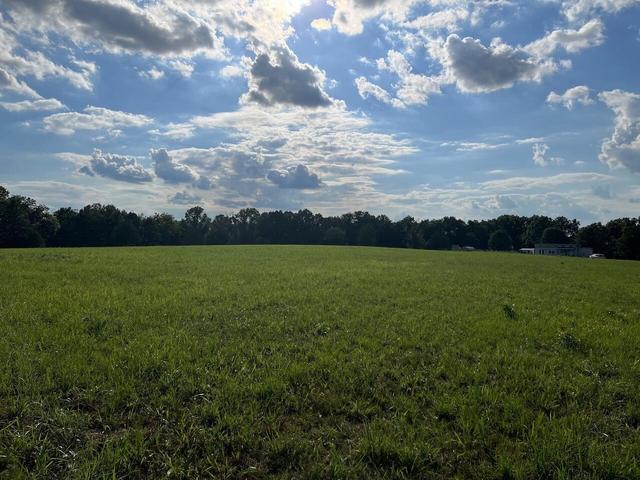 573 County Road Ab-230 Property Photo 29