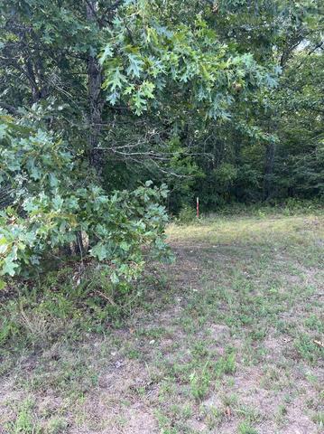 573 County Road Ab-230 Property Photo 30
