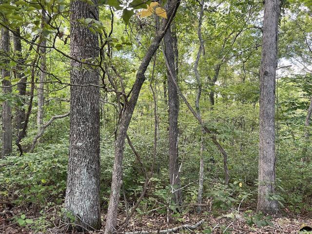573 County Road Ab-230 Property Photo 32
