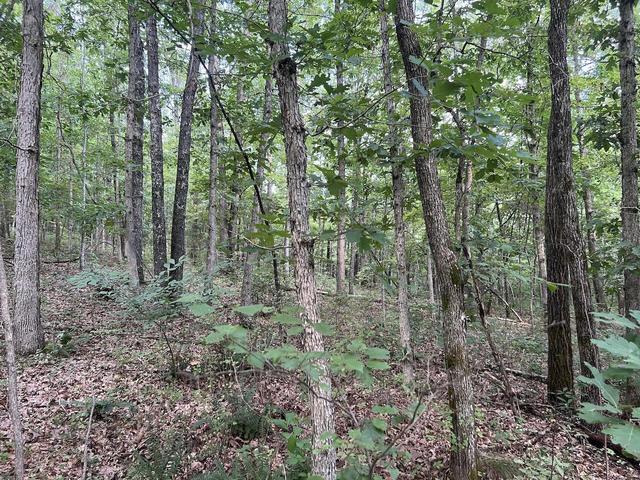 573 County Road Ab-230 Property Photo 36