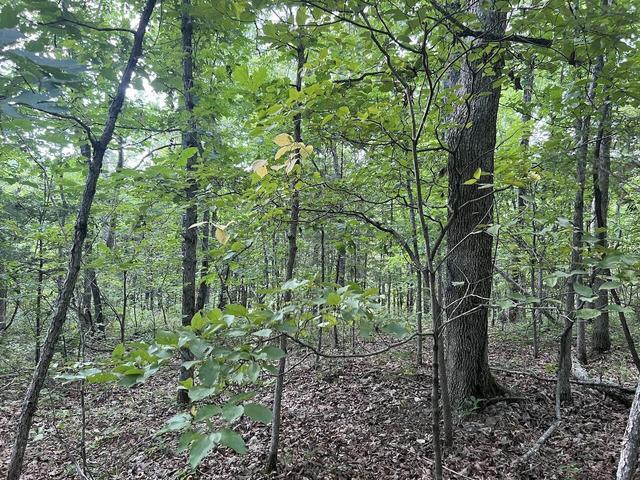 573 County Road Ab-230 Property Photo 37