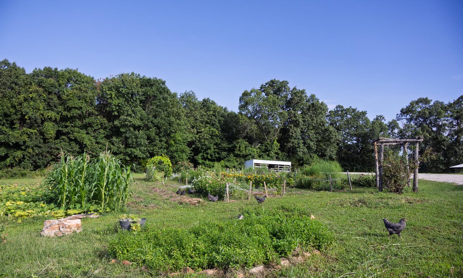 Route 7 Box 7378l Property Photo 83