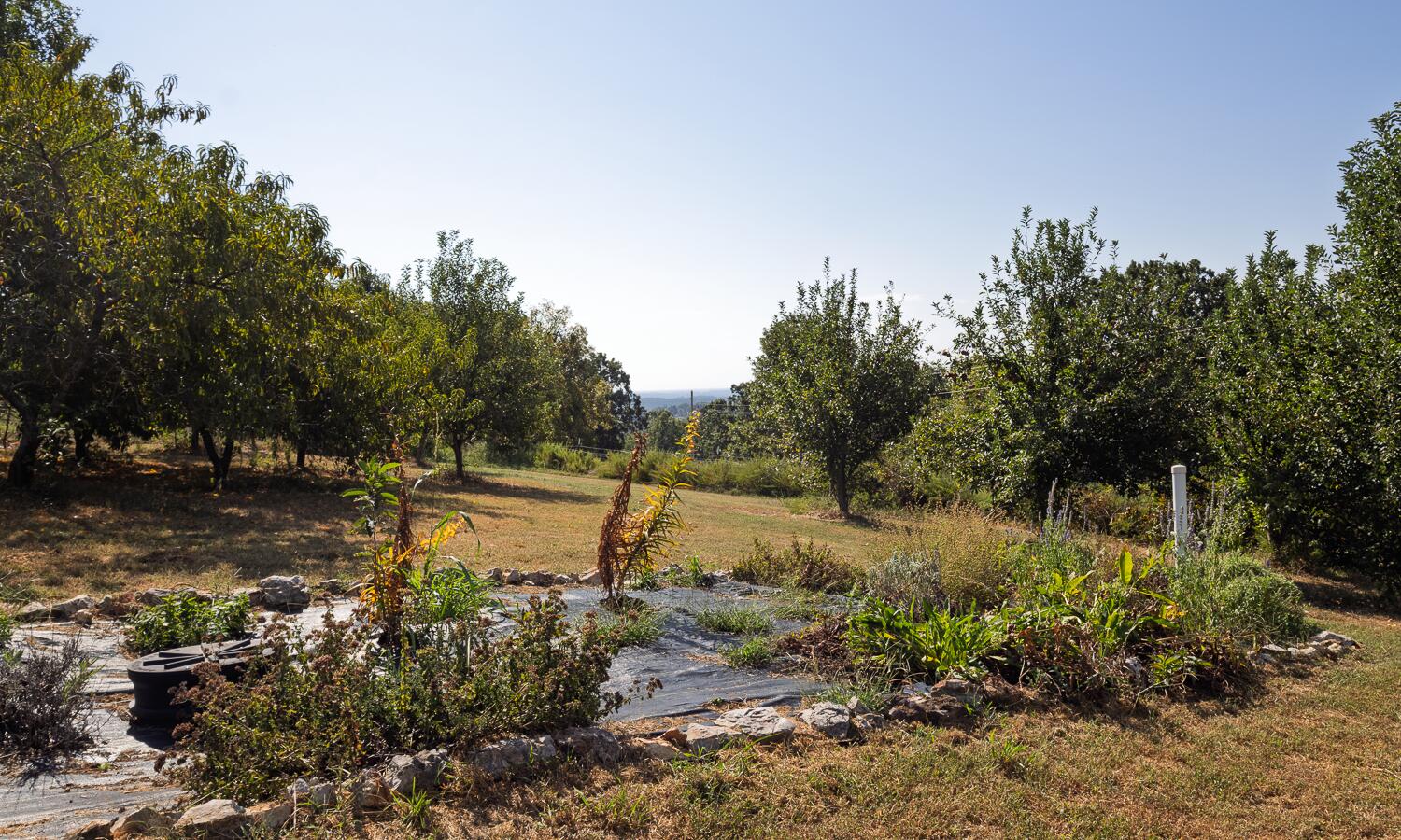 Route 7 Box 7378l Property Photo 87