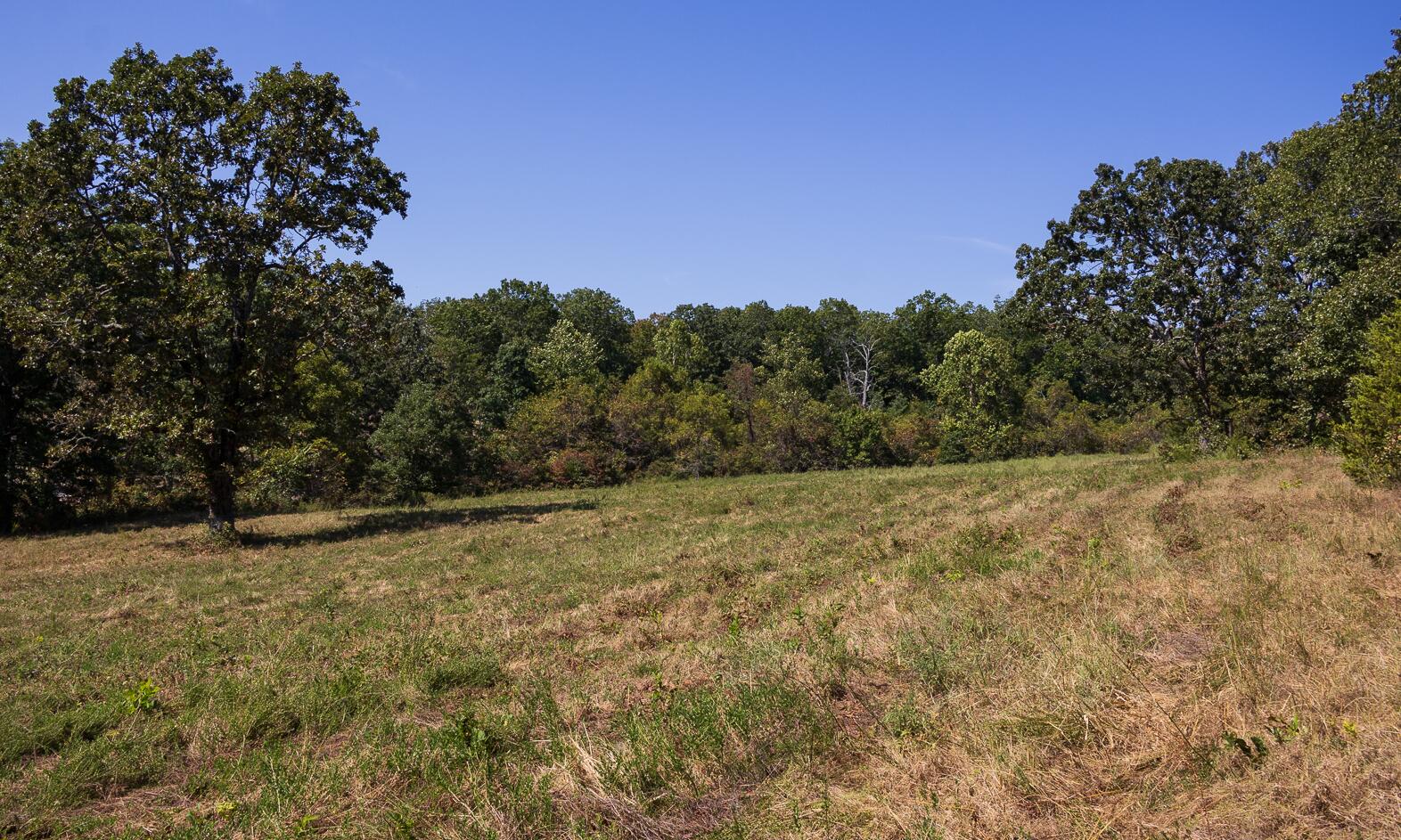 Route 7 Box 7378l Property Photo 101