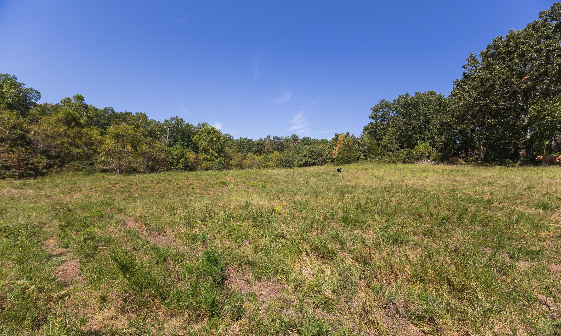 Route 7 Box 7378l Property Photo 102