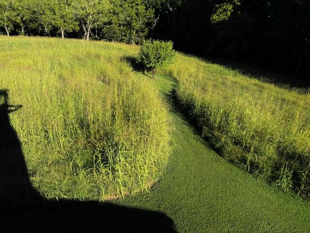 265-267 Walker Road Property Photo 83