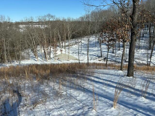 265-267 Walker Road Property Photo 160