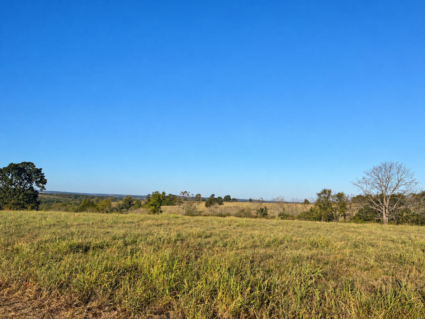 000 West Lowery Road Property Photo 1
