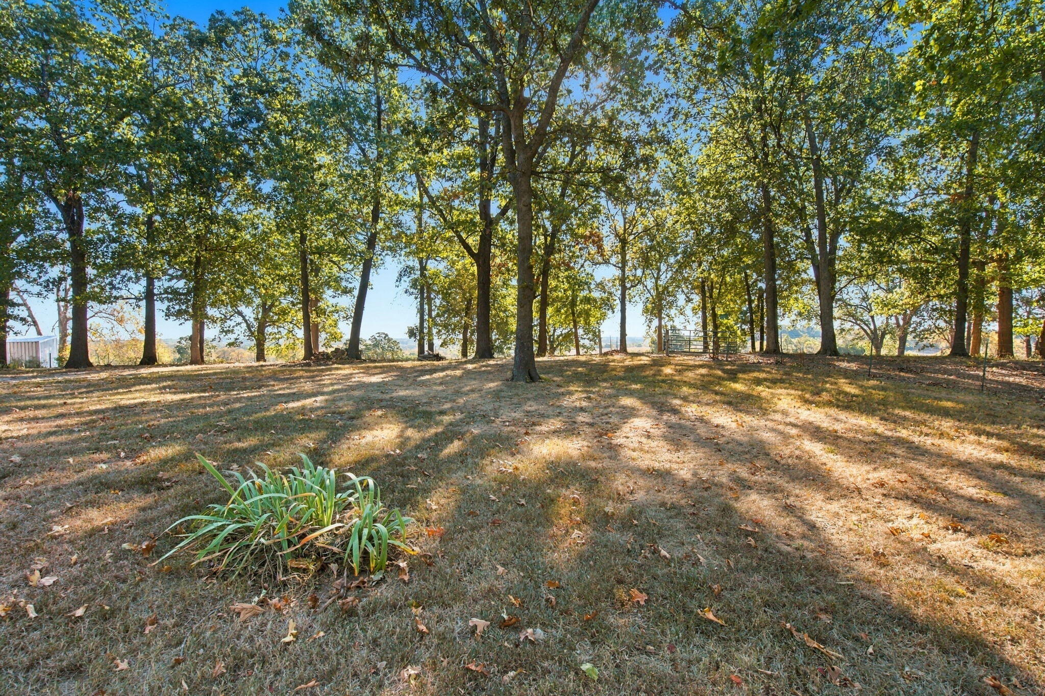 12940 West Farm Road 34 Property Photo 26