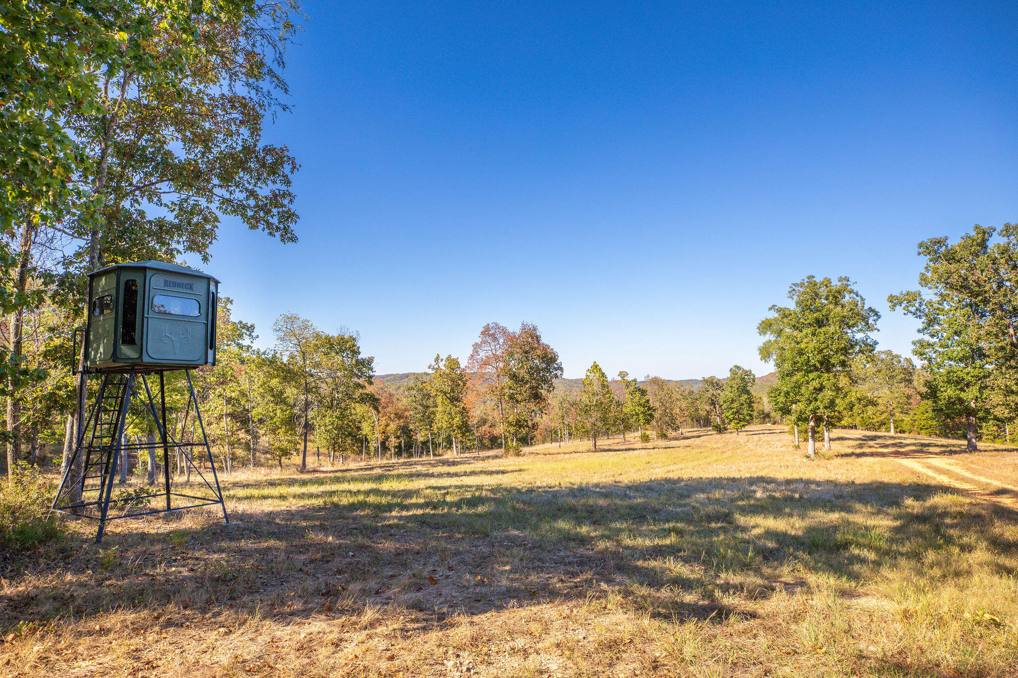 903 Reno Springs Road Property Photo 7