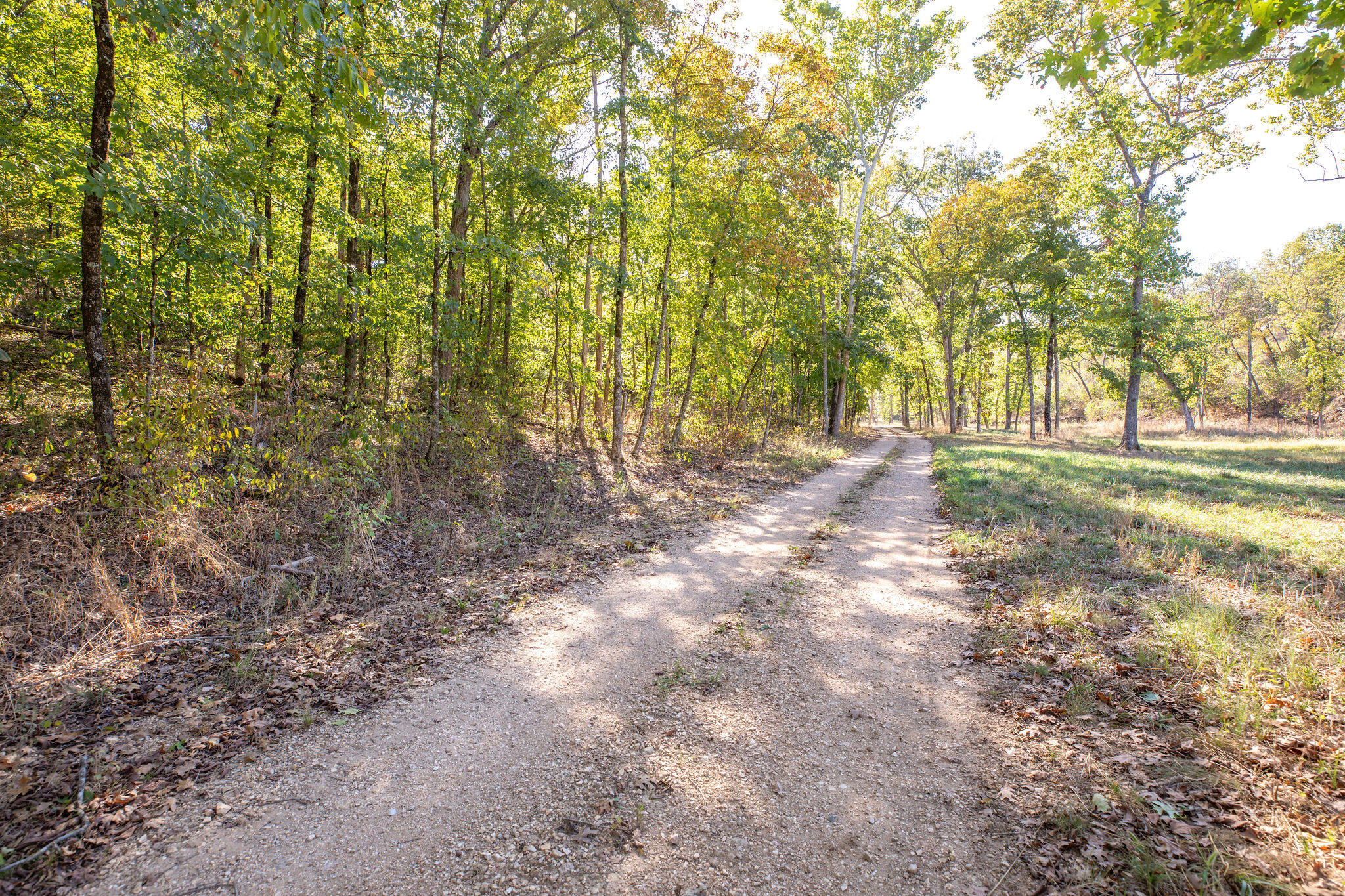 903 Reno Springs Road Property Photo 33