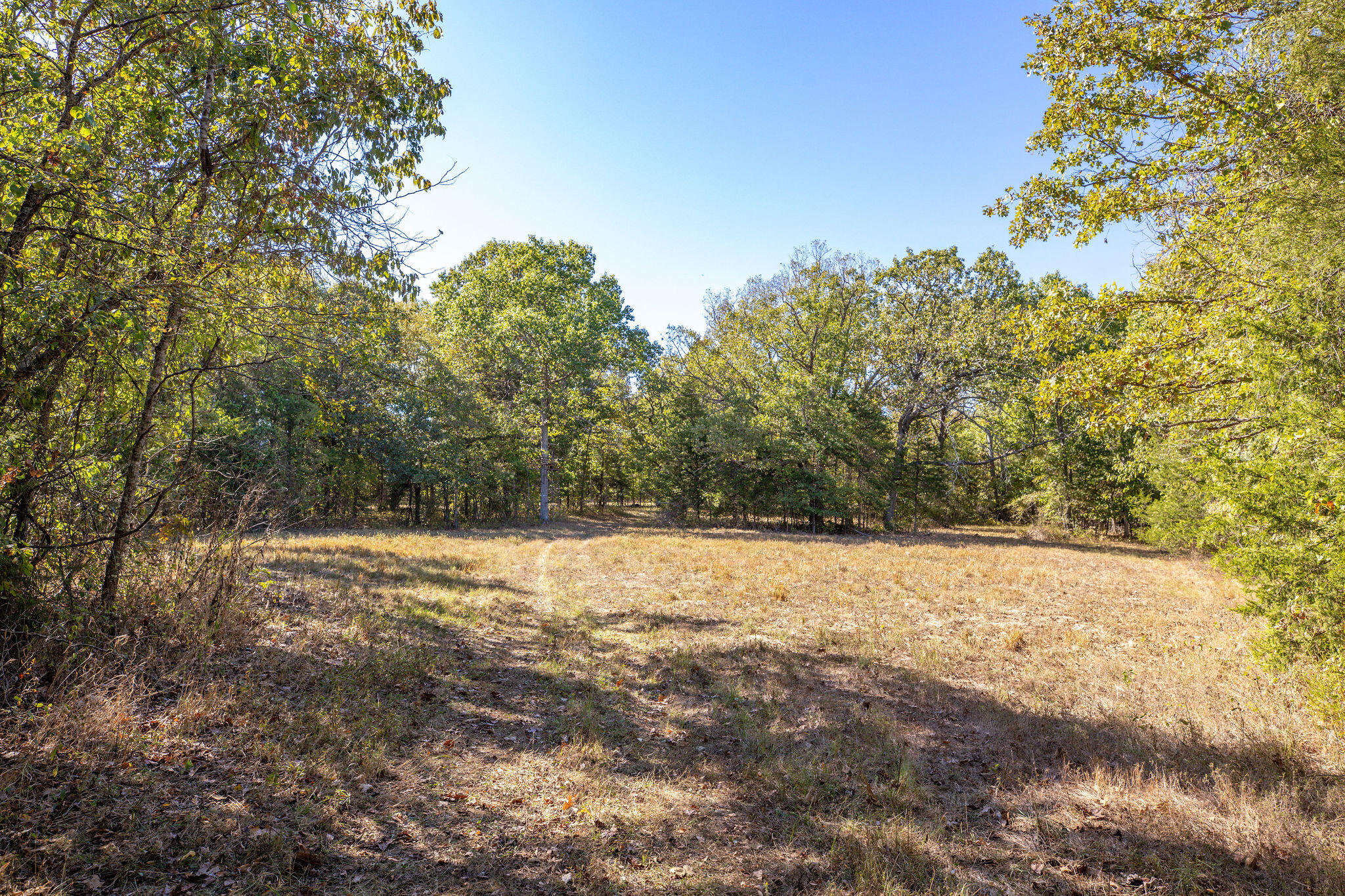 903 Reno Springs Road Property Photo 36