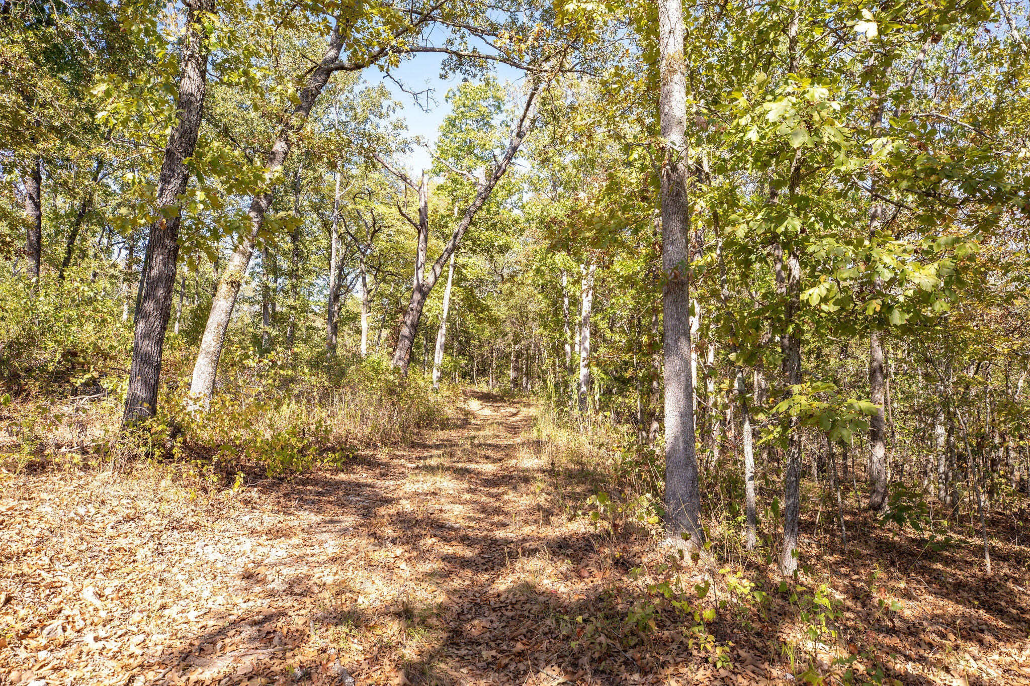 903 Reno Springs Road Property Photo 37