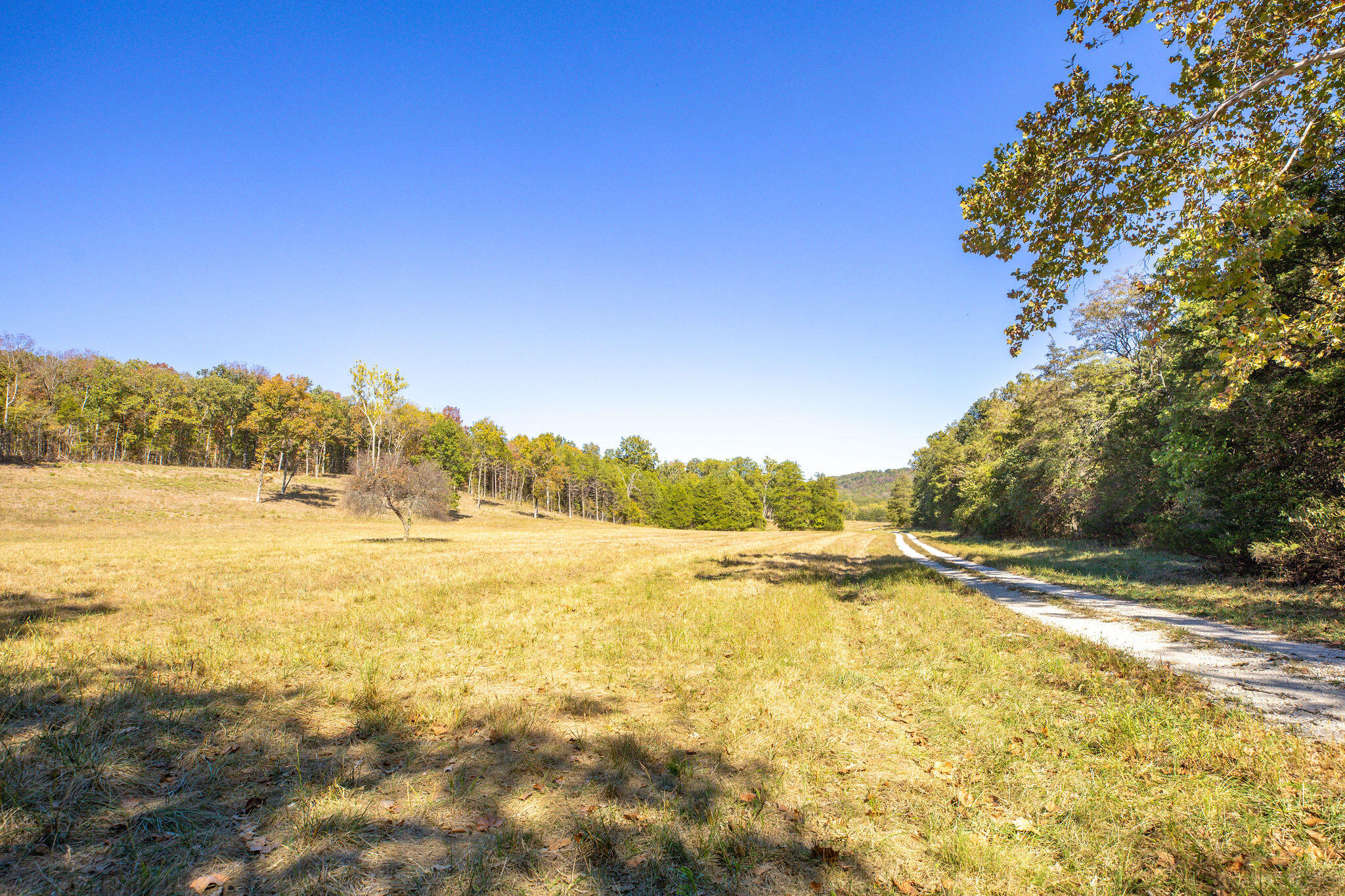 903 Reno Springs Road Property Photo 38