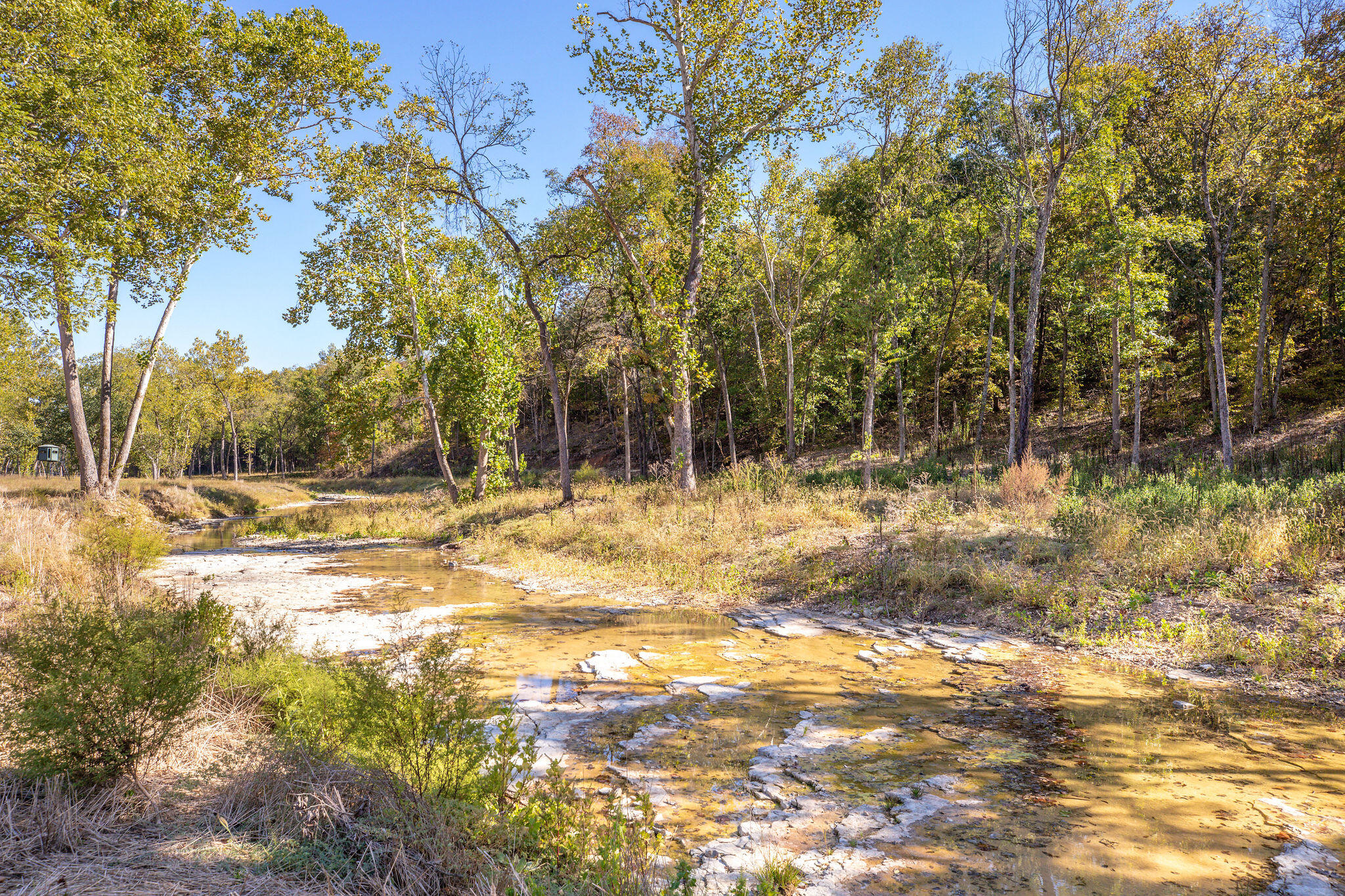 903 Reno Springs Road Property Photo 39
