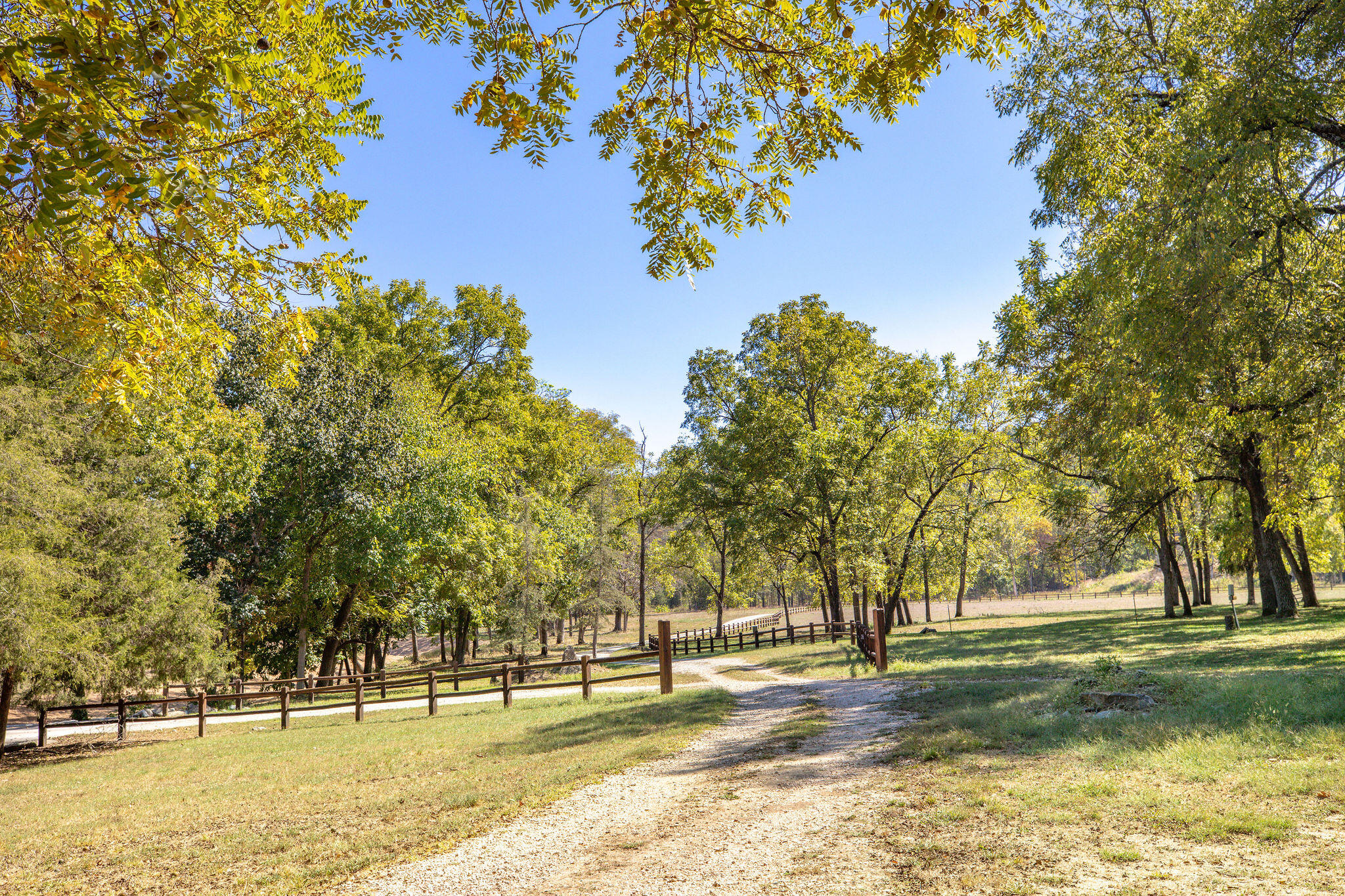 903 Reno Springs Road Property Photo 42