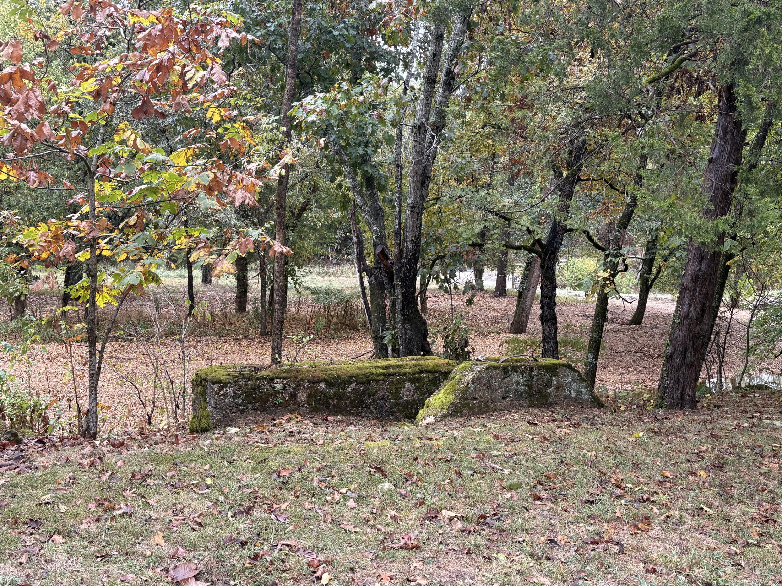 903 Reno Springs Road Property Photo 47