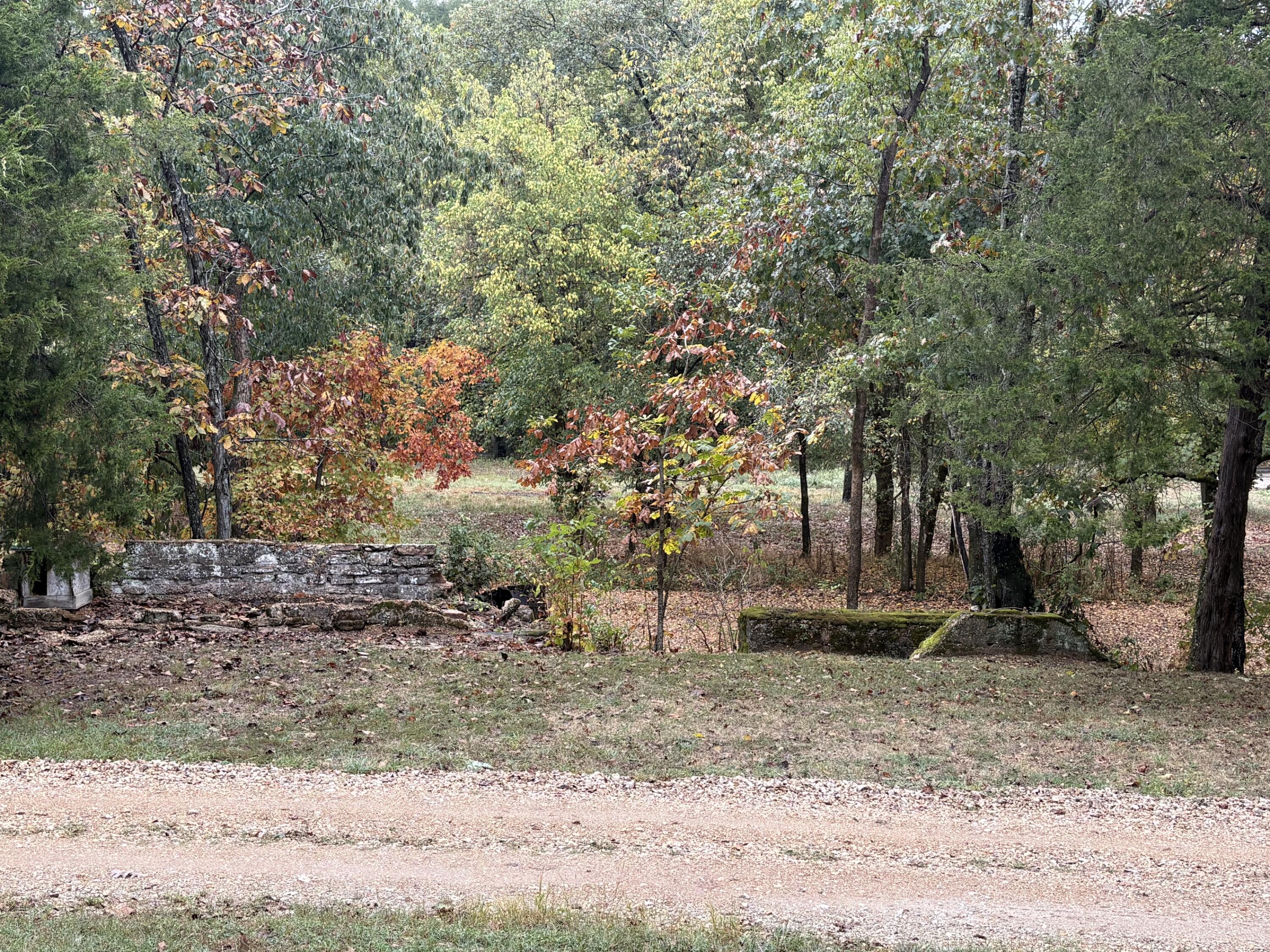 903 Reno Springs Road Property Photo 49
