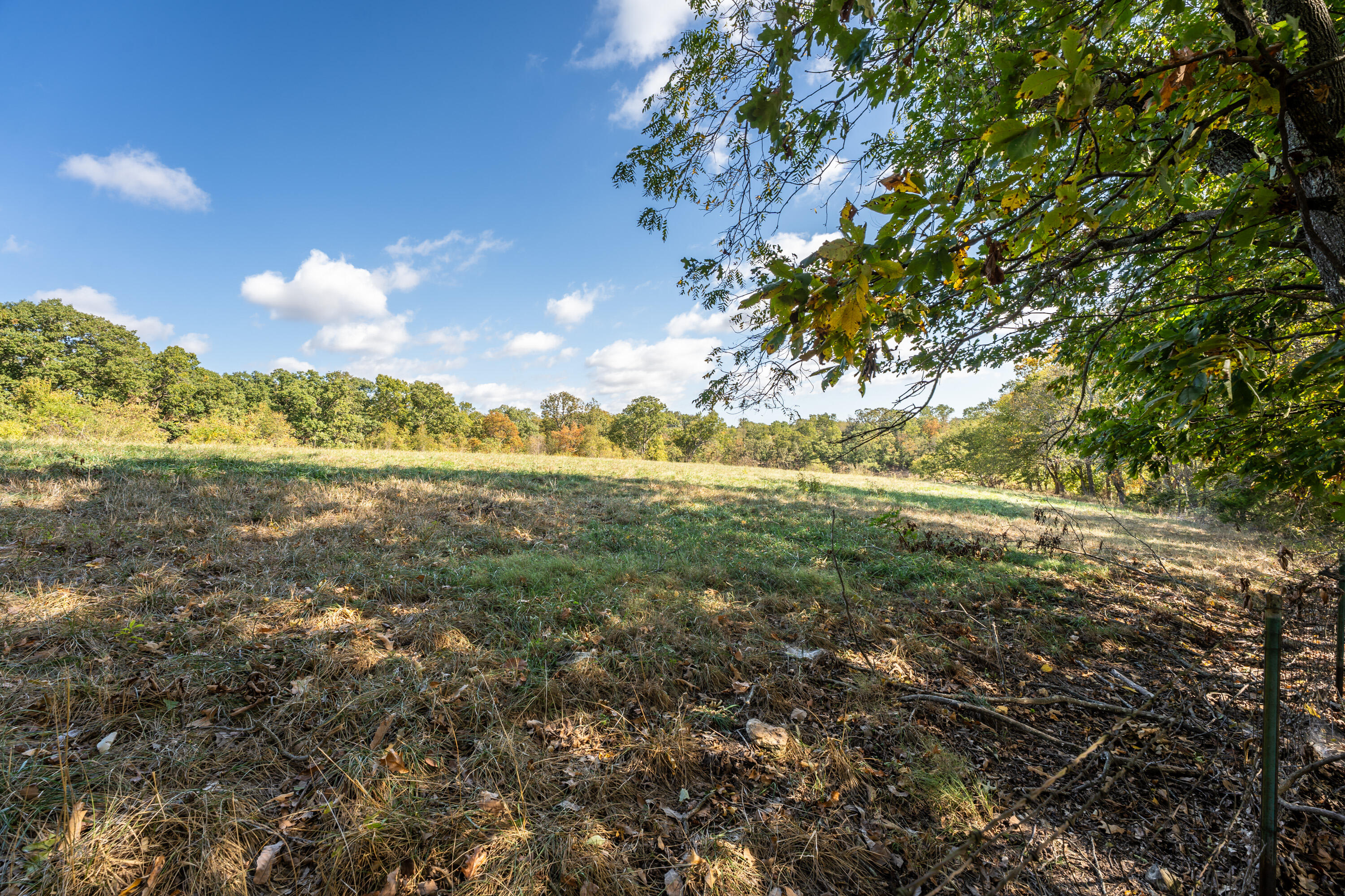 1549 Elm Springs Road Property Photo 47
