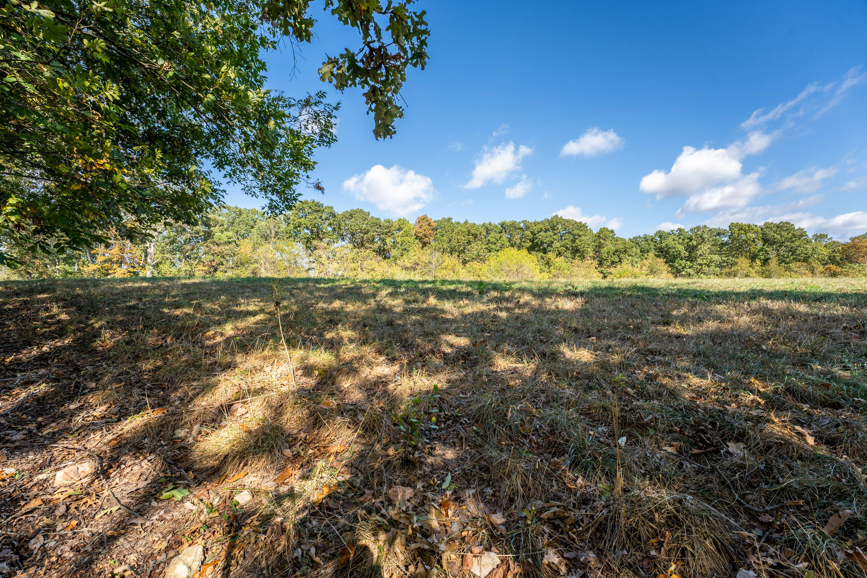 1549 Elm Springs Road Property Photo 48